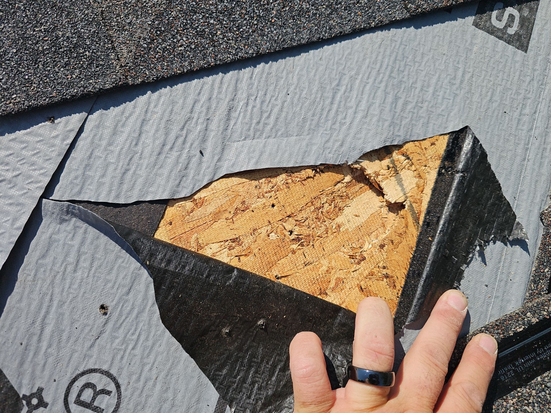 Wind & Tree Impact Roof Repair in Ord by Loyal Nine