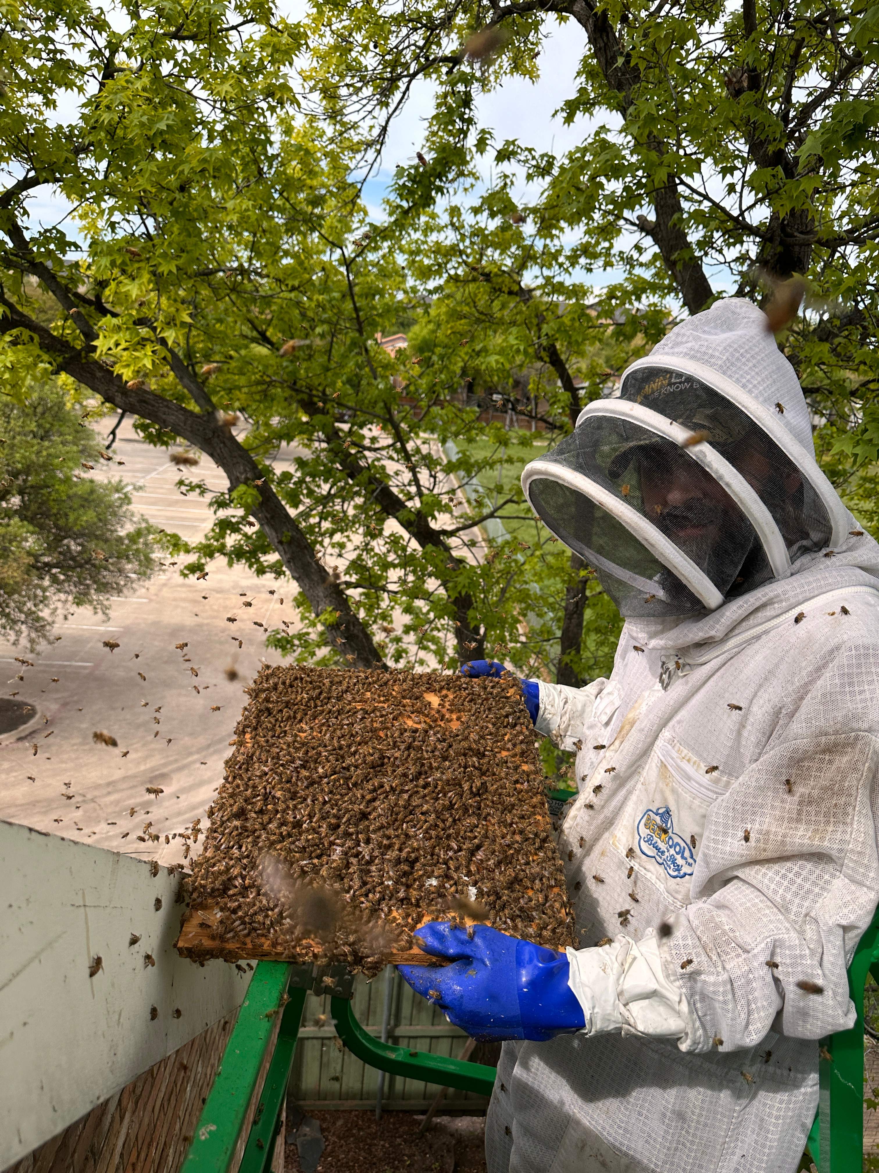 Commercial Roof by Rockwall Honey Bee Company