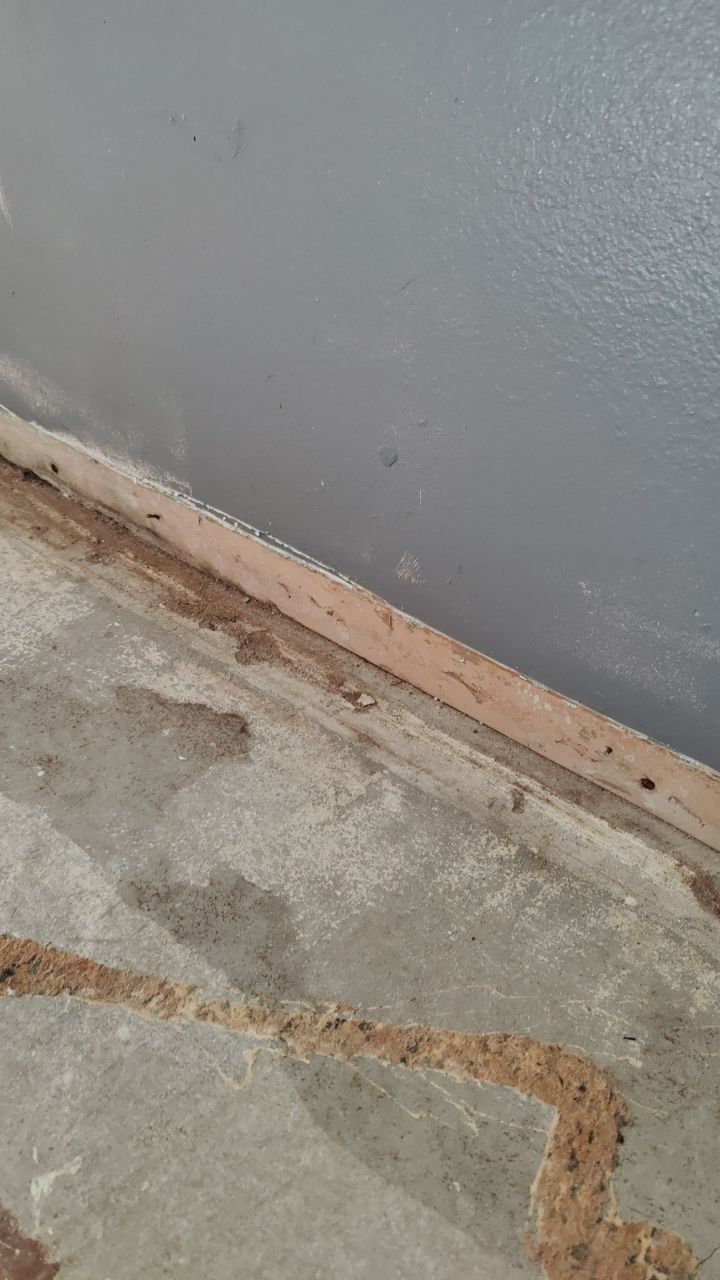 Mold Remediation by Accountable Home Services