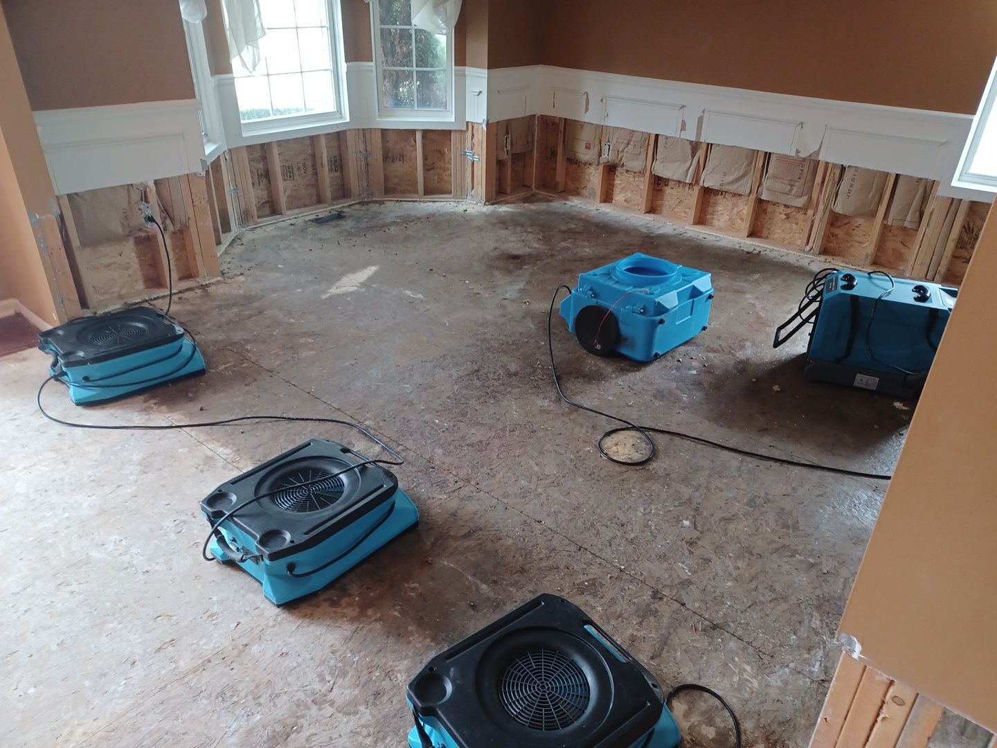 Project in Sterling Heights by EzDry Water Mitigation & Property Restoration