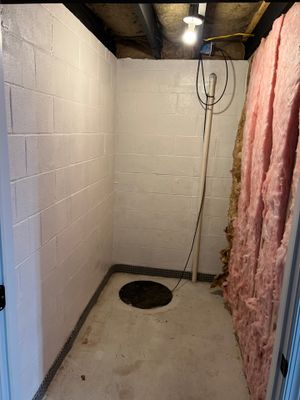 Phoenixville Basement Mold Remediation and Sanitation