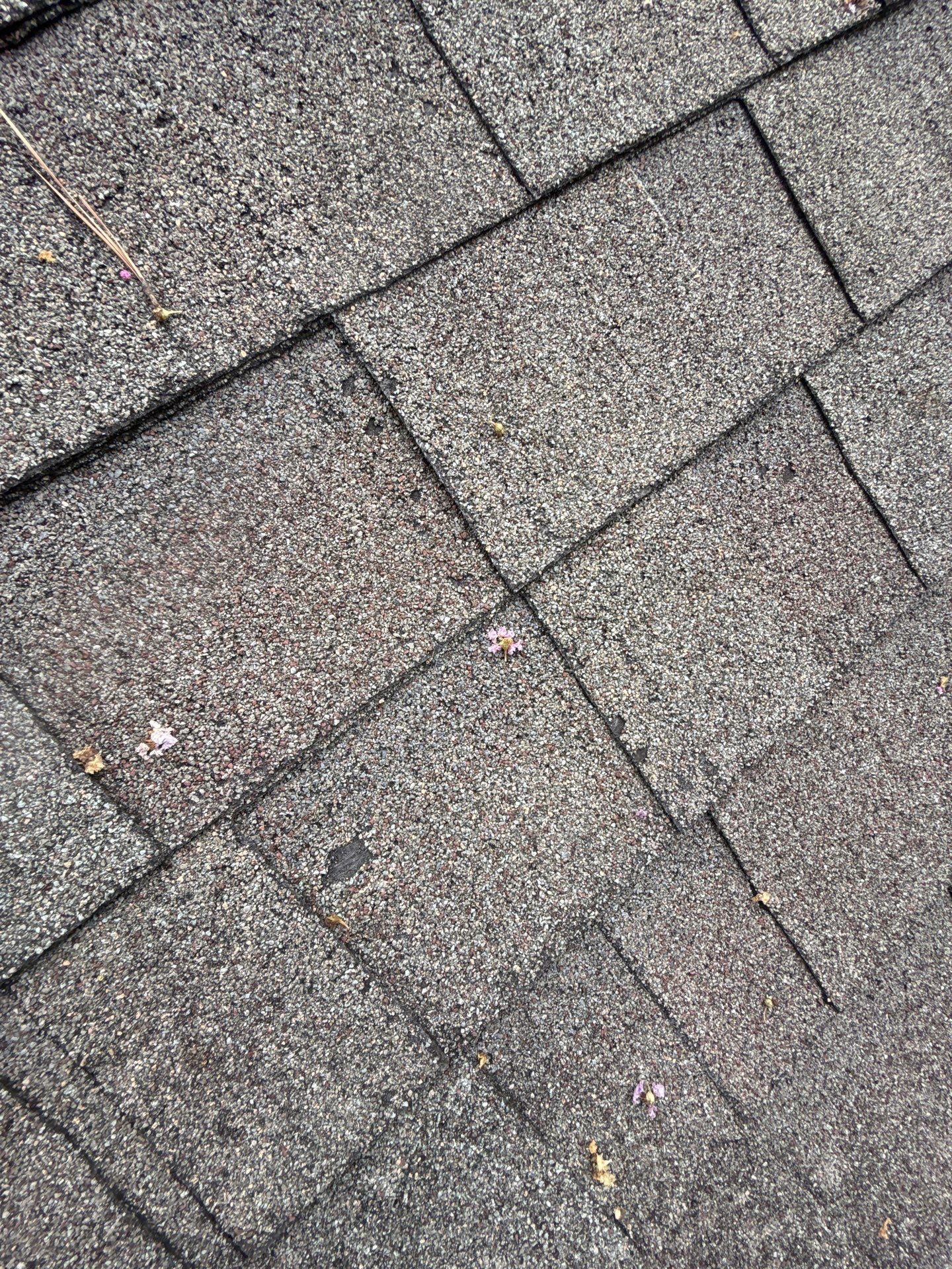 Roof Repair Houston by Roof Repair Services LLC