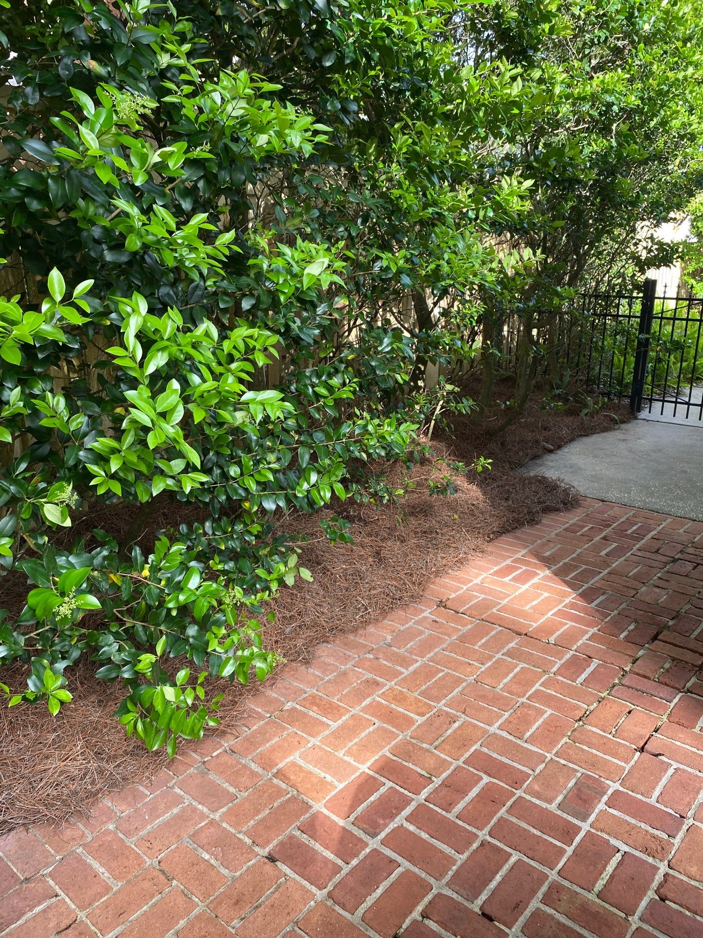 Deerwood Resident | Pine Straw Installation by ProGreen Services