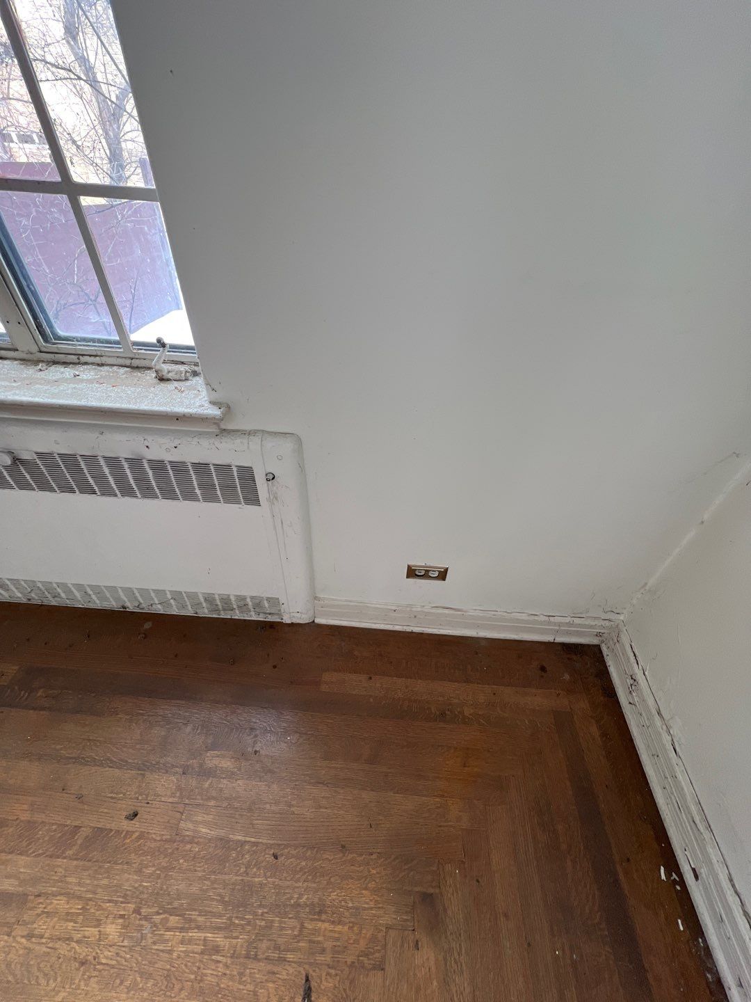 Mold Remediation by Accountable Home Services