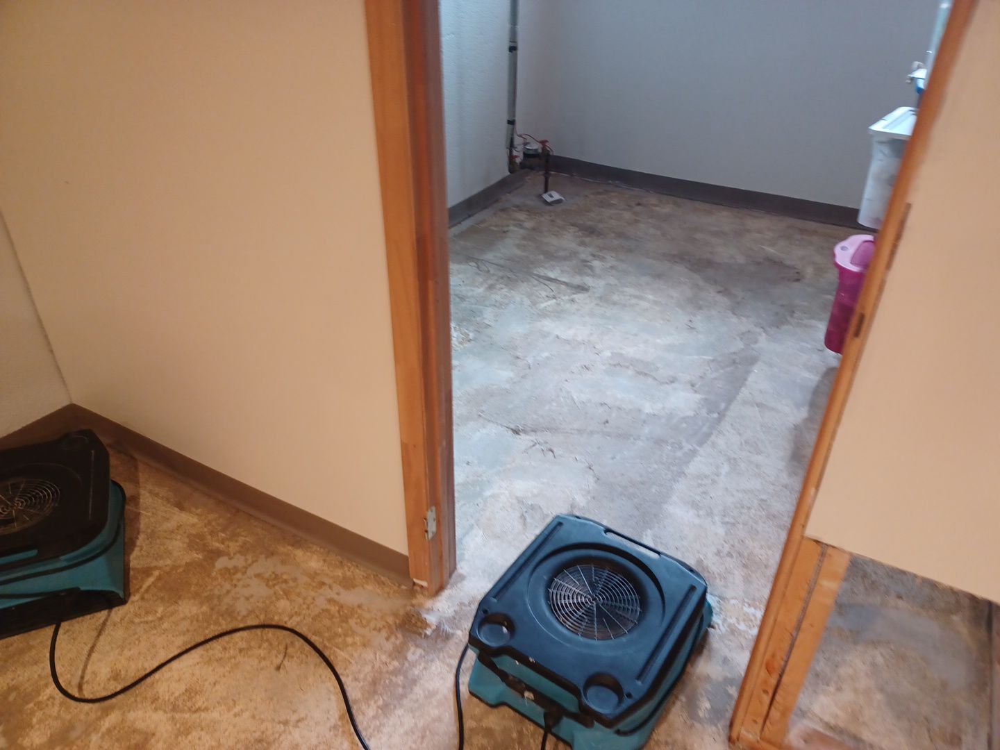 Project in Troy by EzDry Water Mitigation & Property Restoration