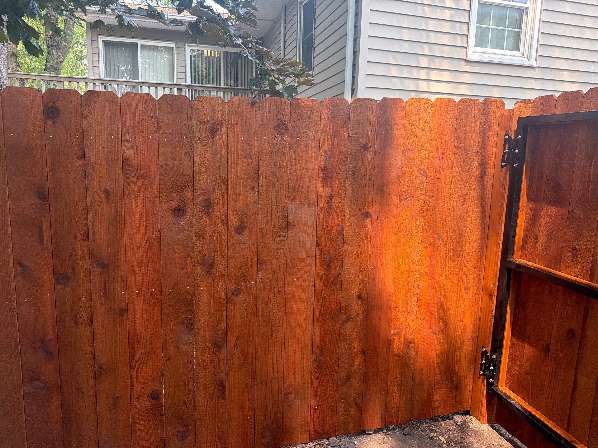 Pecan Cedar Privacy Fence Installation with Scalloped Top in Cedar Falls by Perfect Picket Fence and Stain