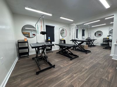 Commercial Pet Grooming Salon Interior Remodel in Powder Springs