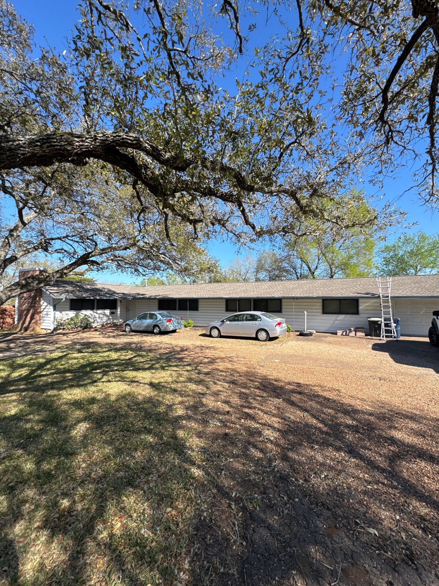 Debbie T by Boss Hogg Roofing
