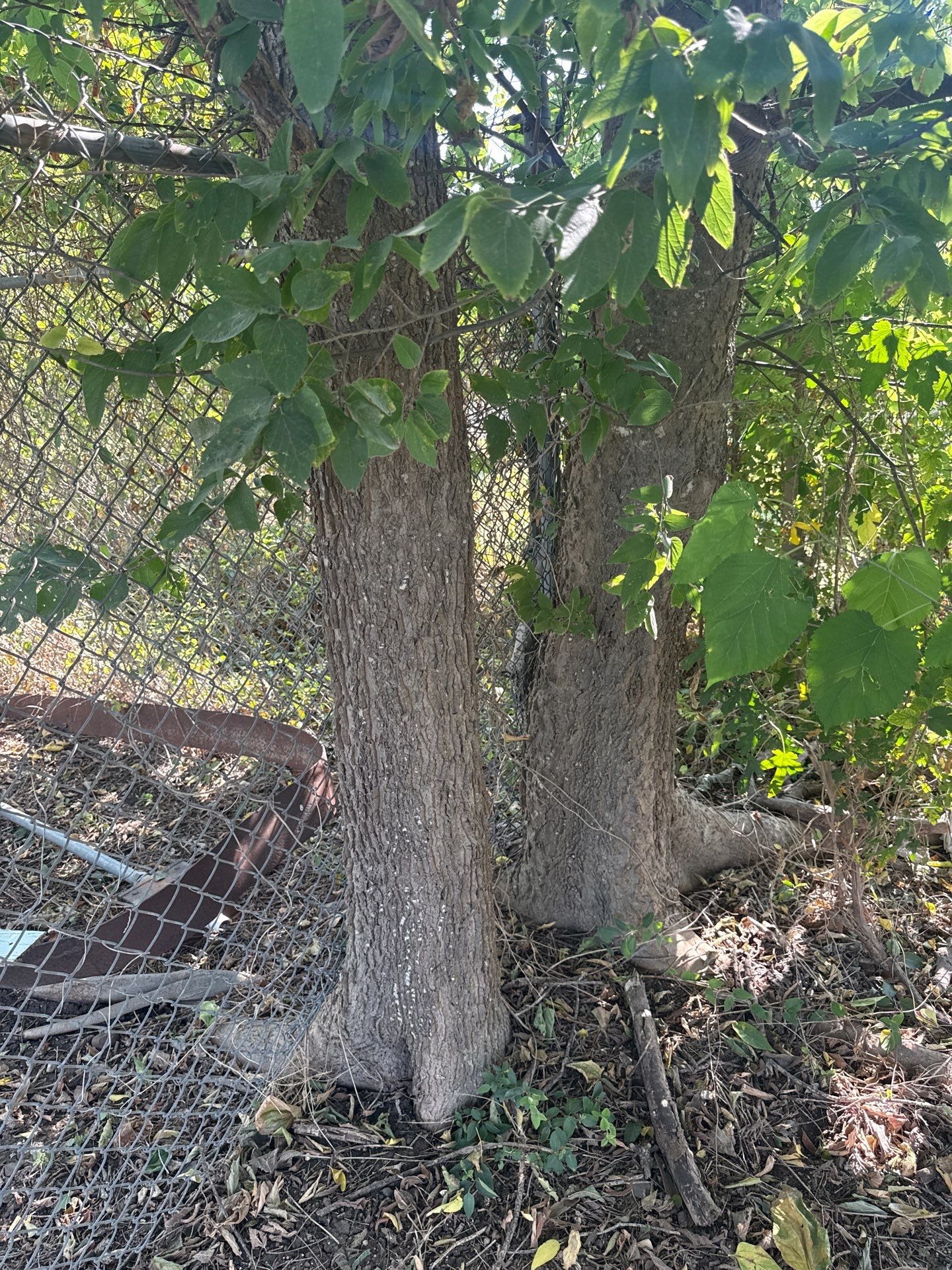 Project in Joshua, TX by Moseley Fence