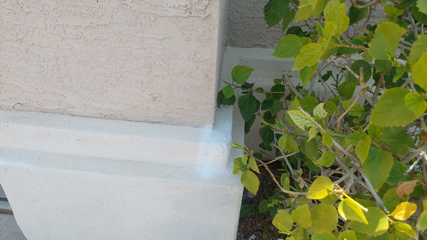 Exterior Painting - Gilbert by Crash of Rhinos Painting & Garage Floors