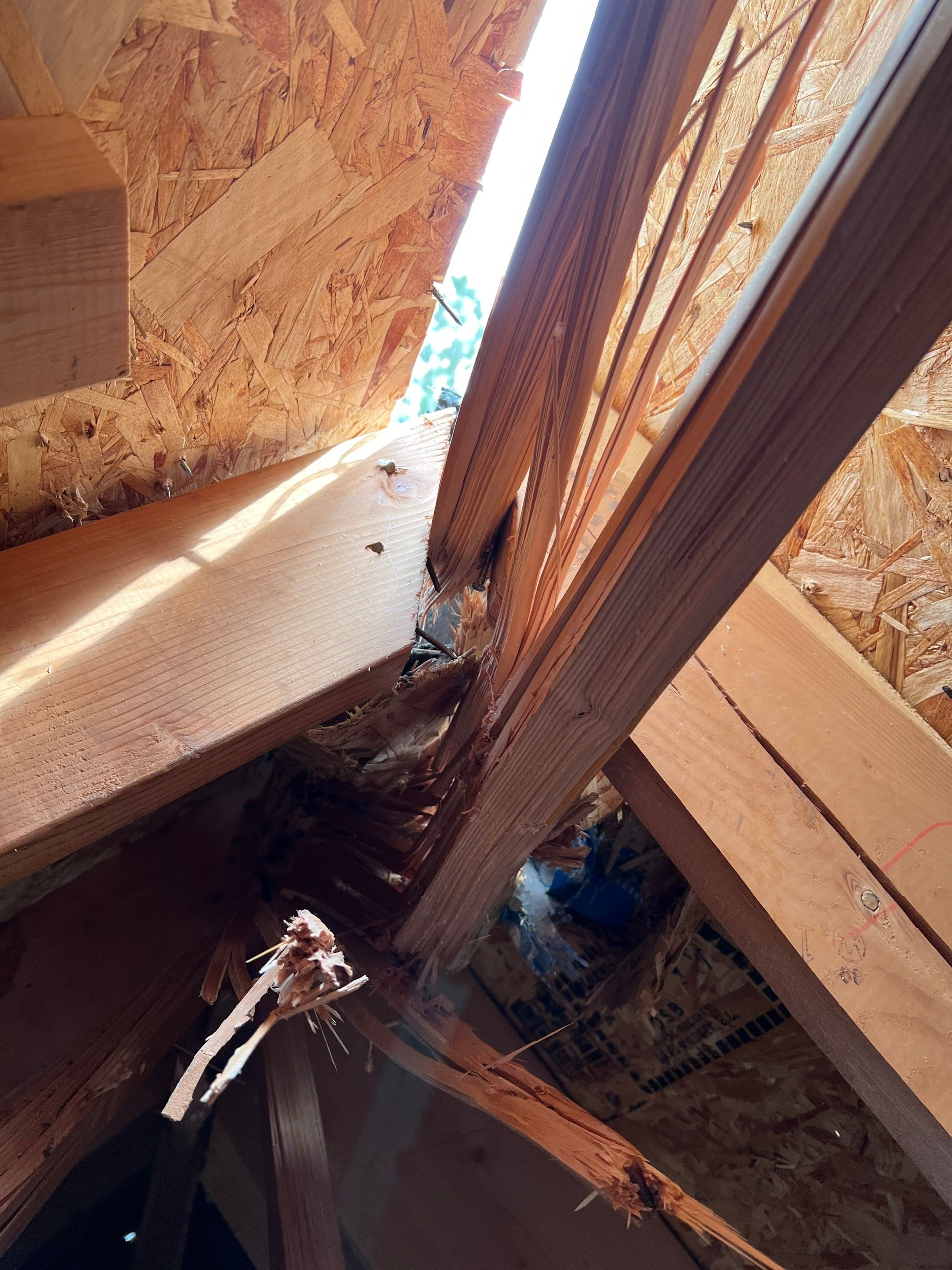 Green Snap Lock Standing Seam  by Montana Roofing Solutions