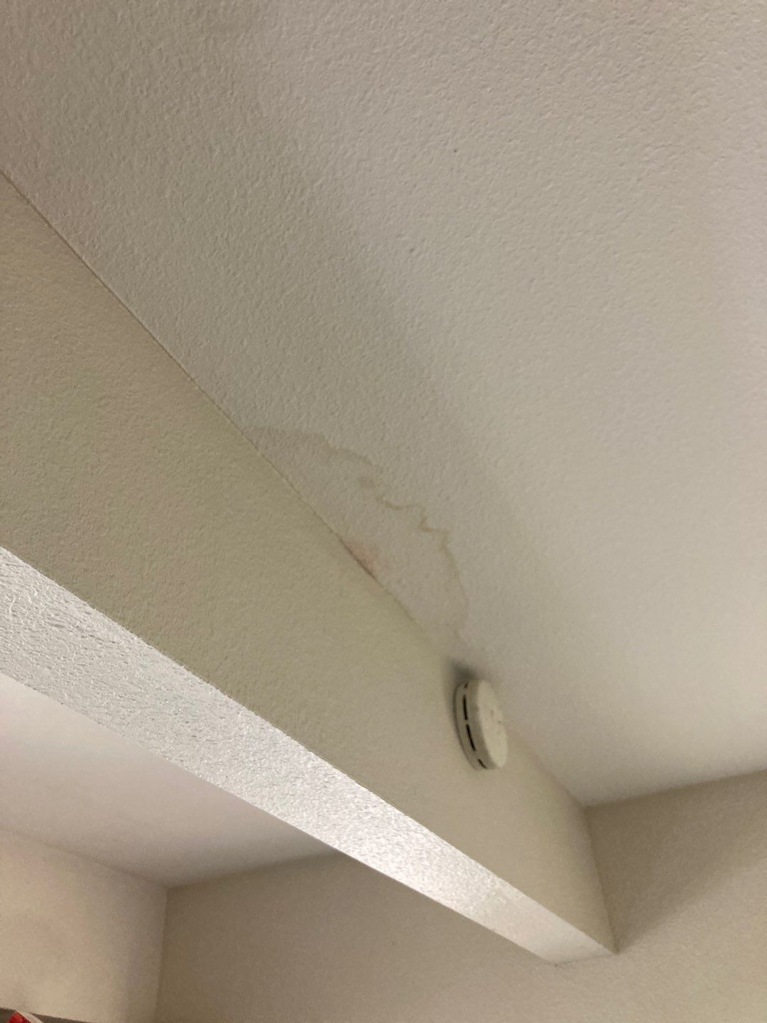 Large Ceiling Drywall Repair by Andre Handyman