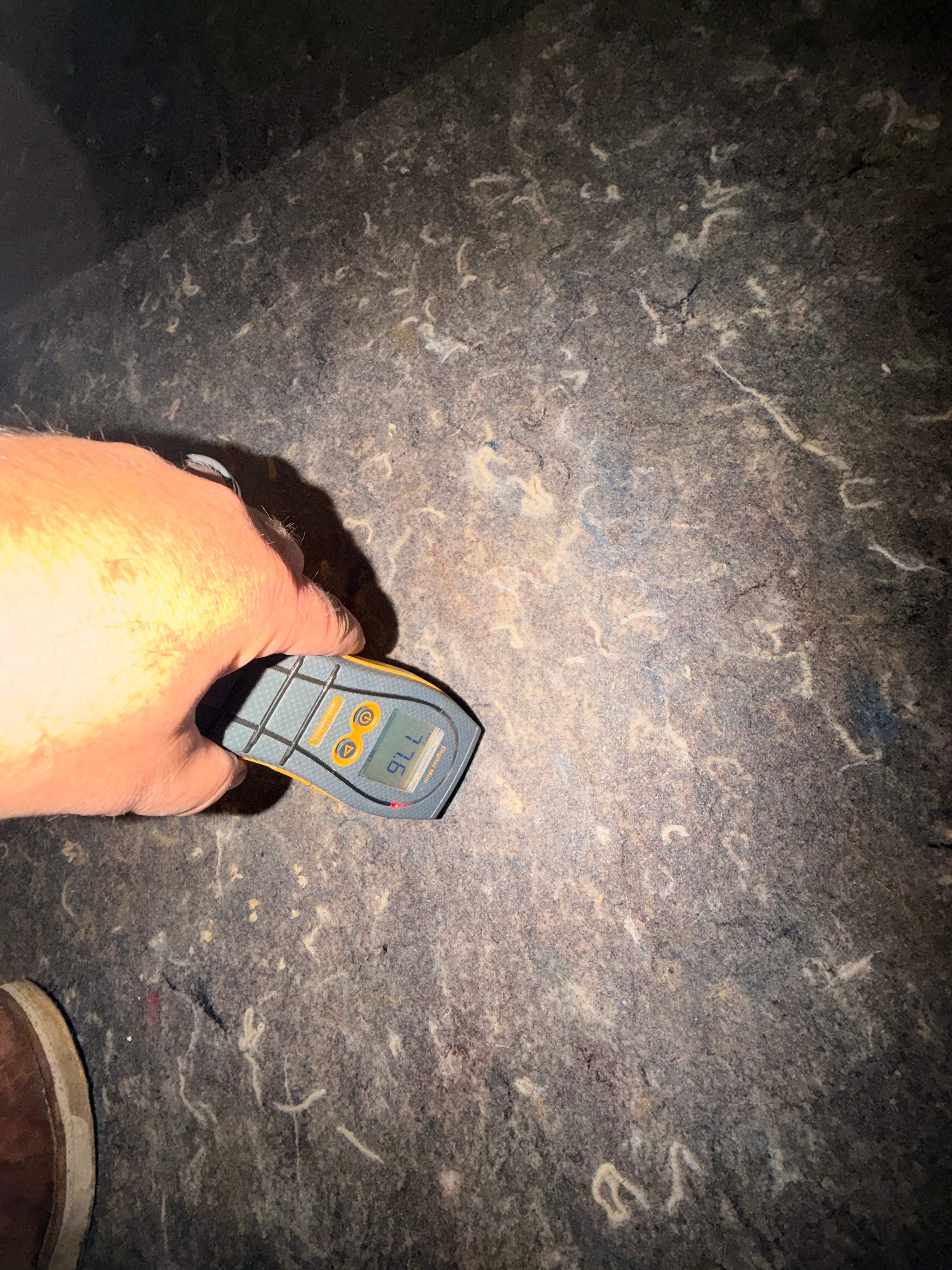 Water Damage / Mold Damage by Newhouse Restoration