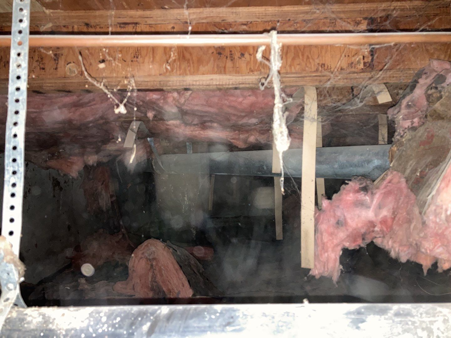 Crawl Space Cleanup  by Accountable Home Services