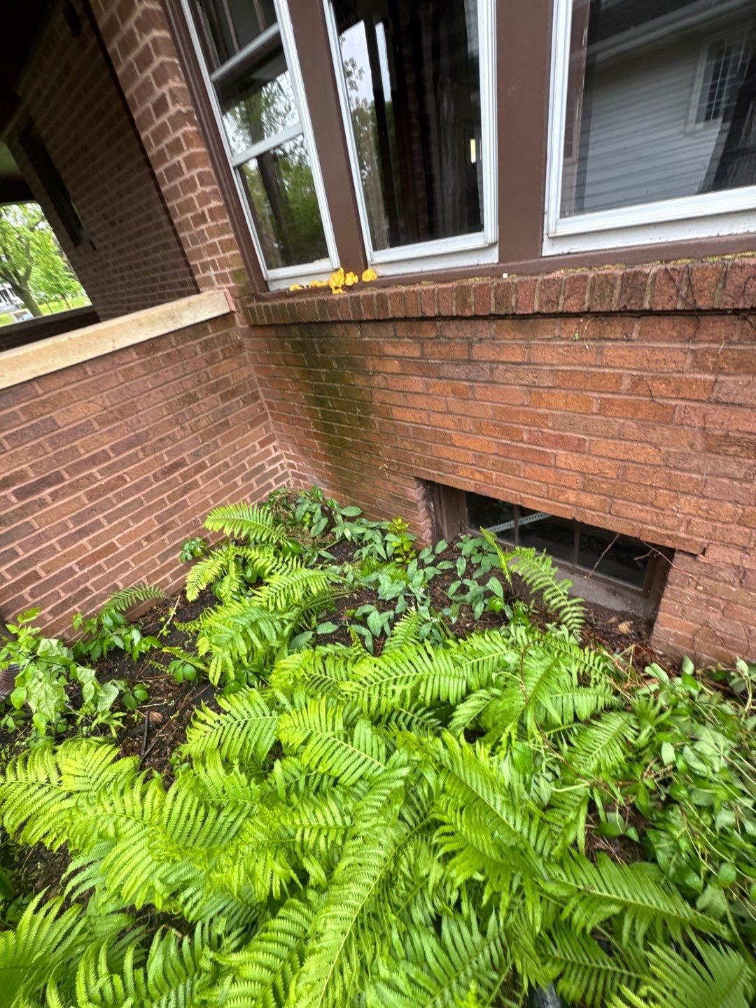 Basement Window Well Replacement in St. Paul, MN by Waterproofing Northeast