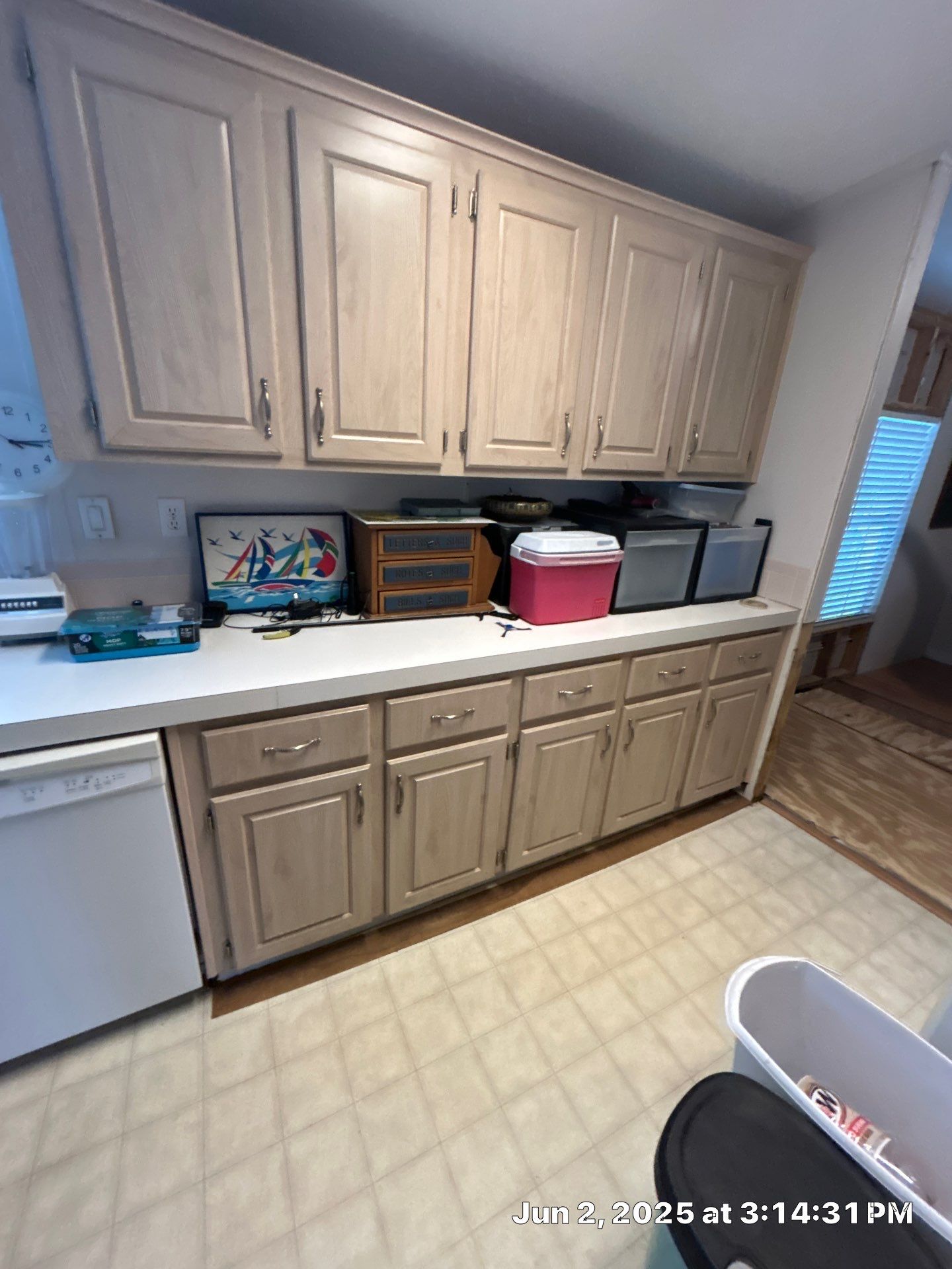 Mold Remediation Palmetto by Ampm Restoration Services 