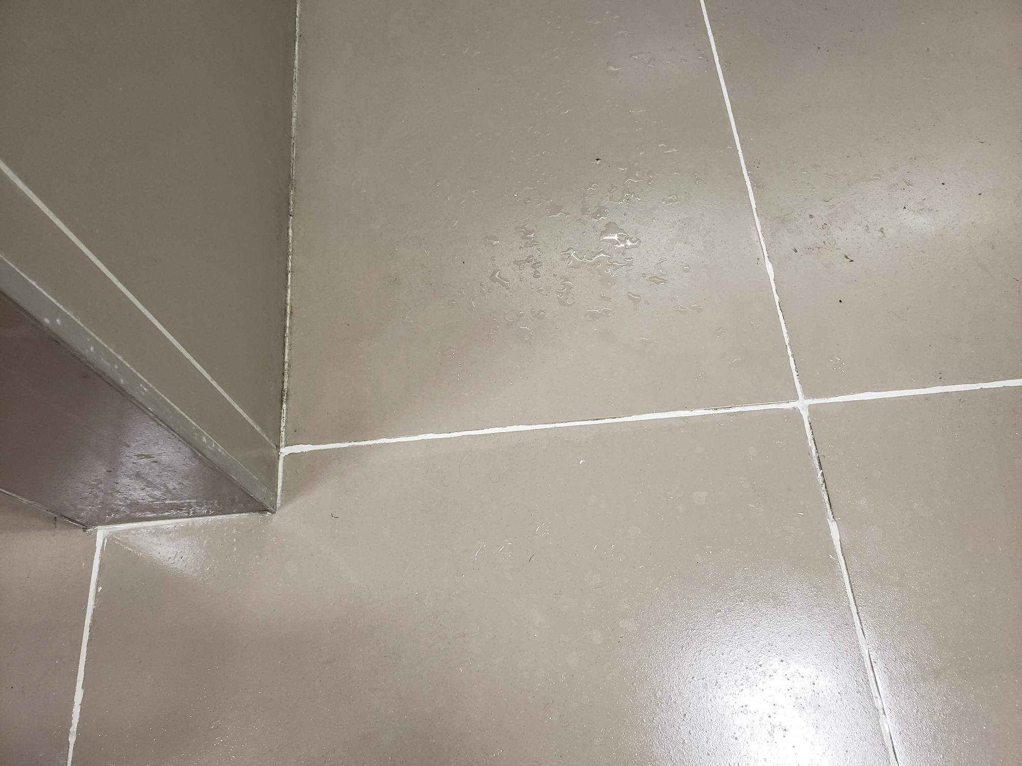 SaniGlaze Removal and reconditioning using CareGuard by Corporate Care