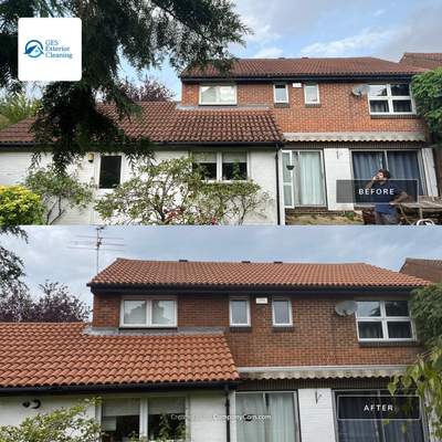 Exterior Clean - Roof - Patio - Driveway using Honda 15lpm Low Pressure Washing Machine