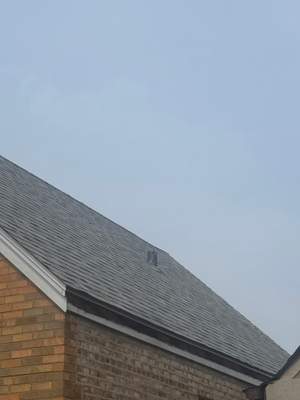 Latest photograph of the Turtle Shell installation in Chicago, IL 60634