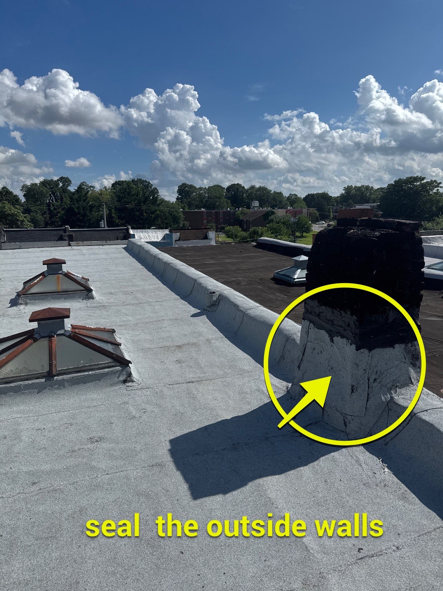 New Flat Roof by Alpha Design Services