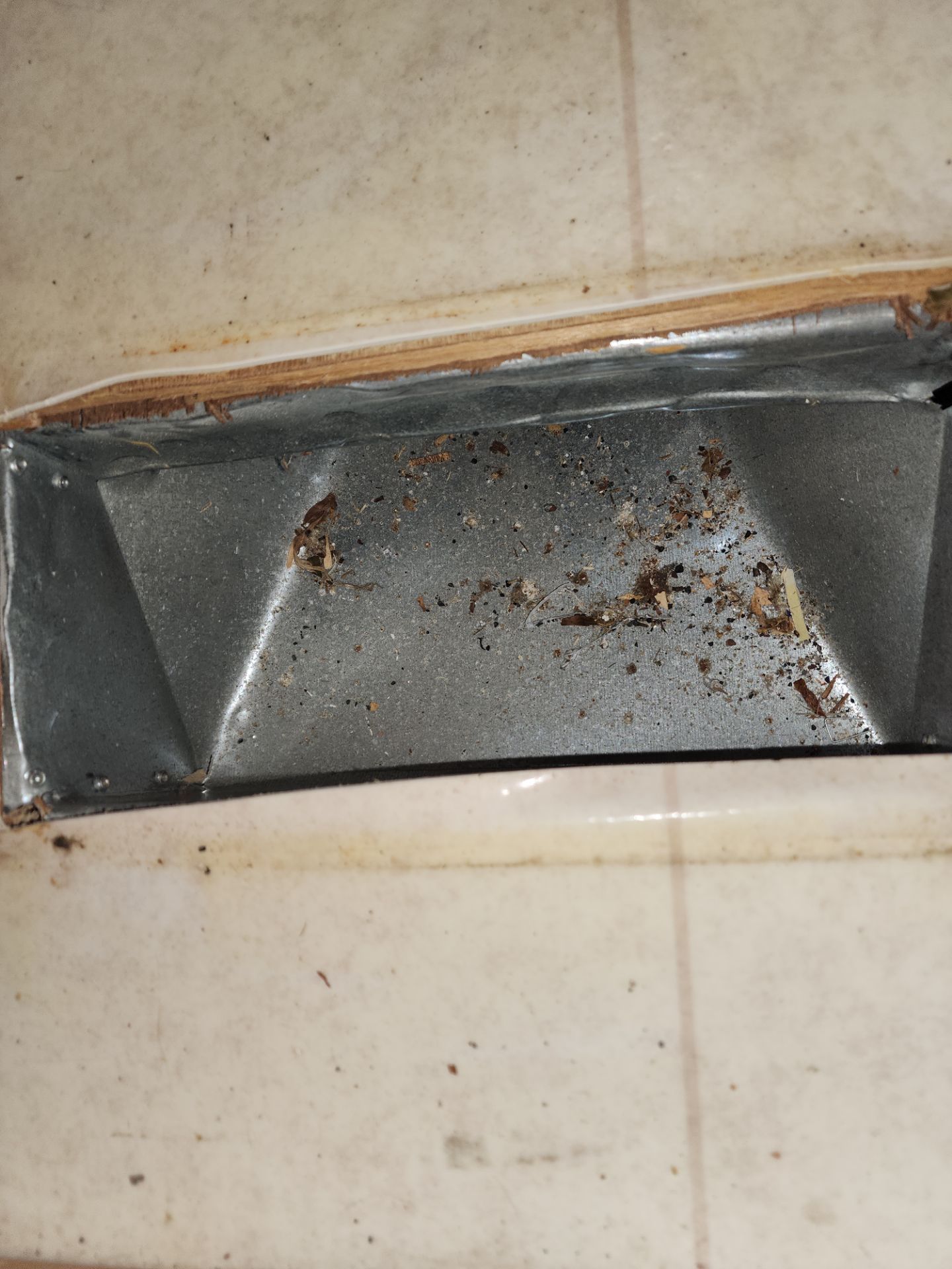 Duct Cleaning and Sanitization by Elemental Heating and air conditioning LLC