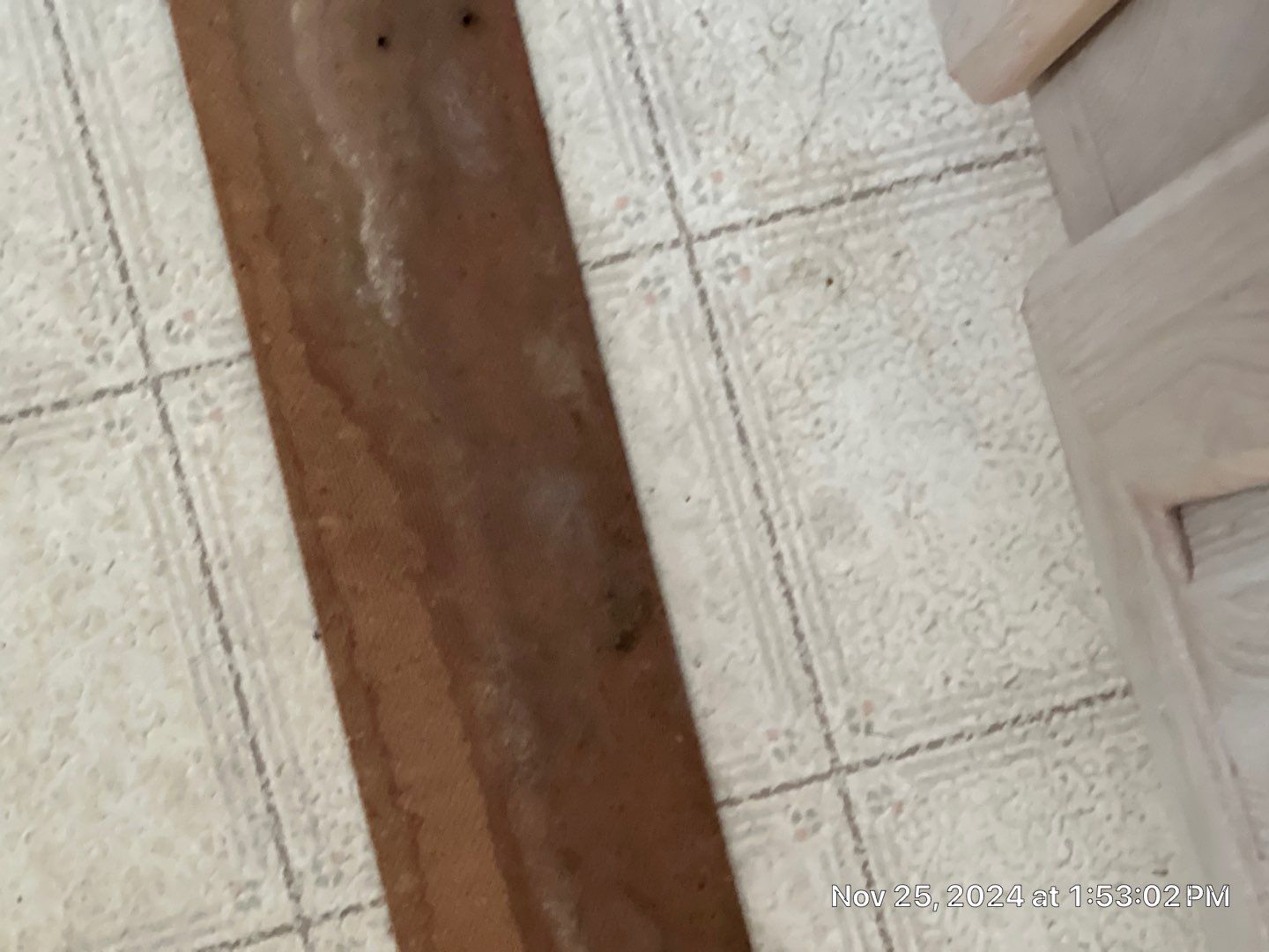Mold Remediation Palmetto by Ampm Restoration Services 