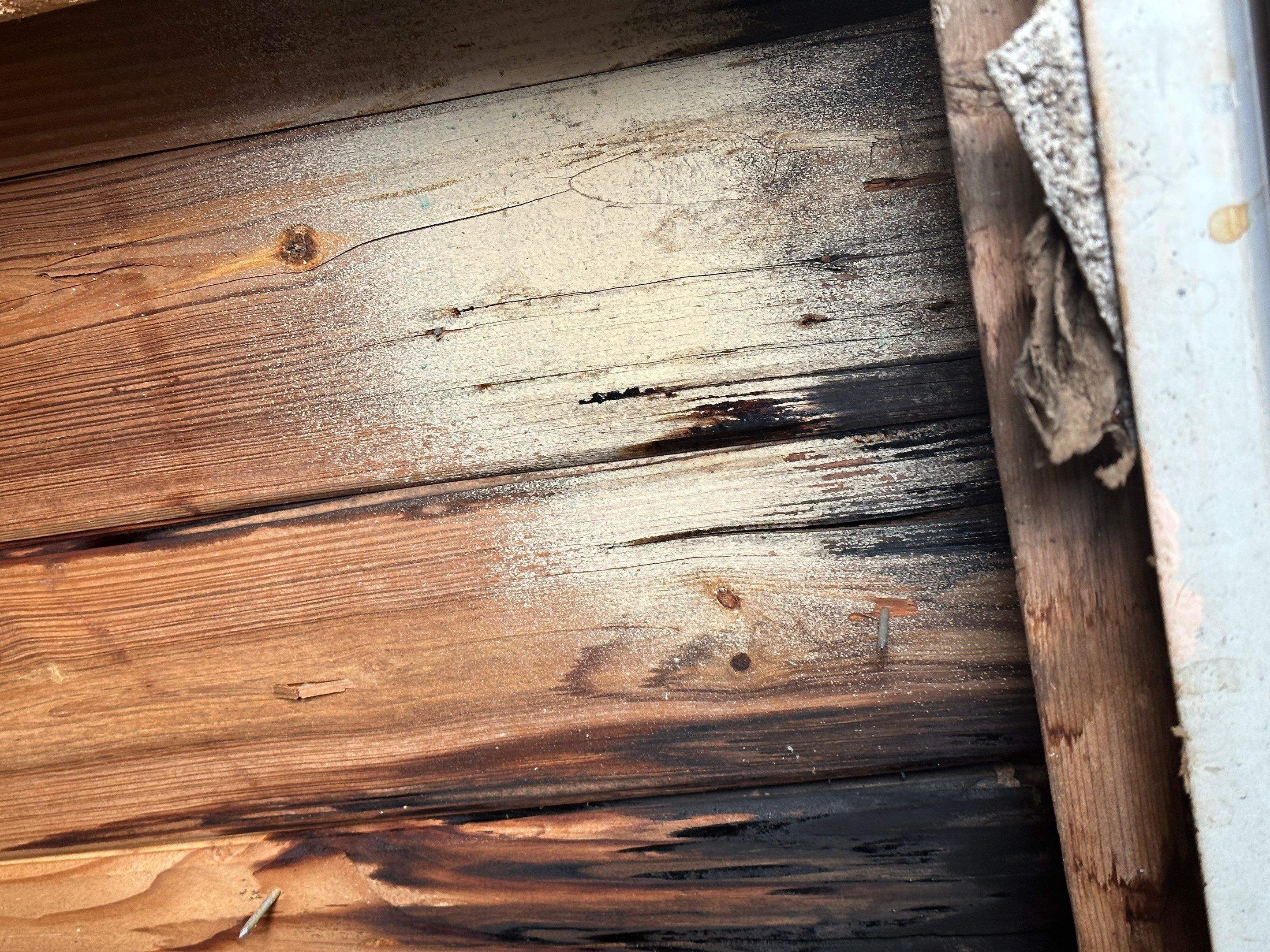 Water Damage Claim in Cape Coral by FLAPA & KeyStone