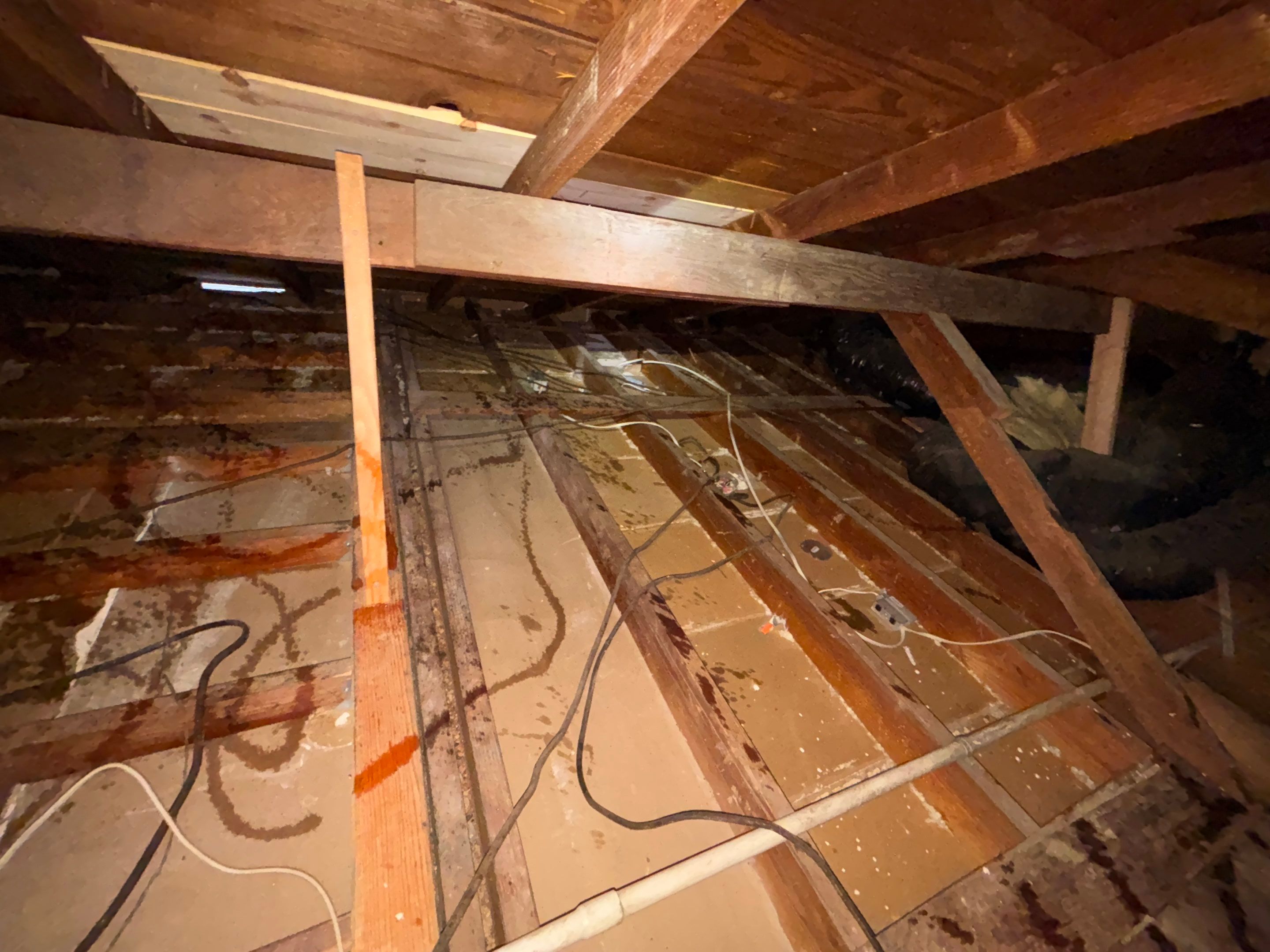 Project in Long Beach by Insulation Labs
