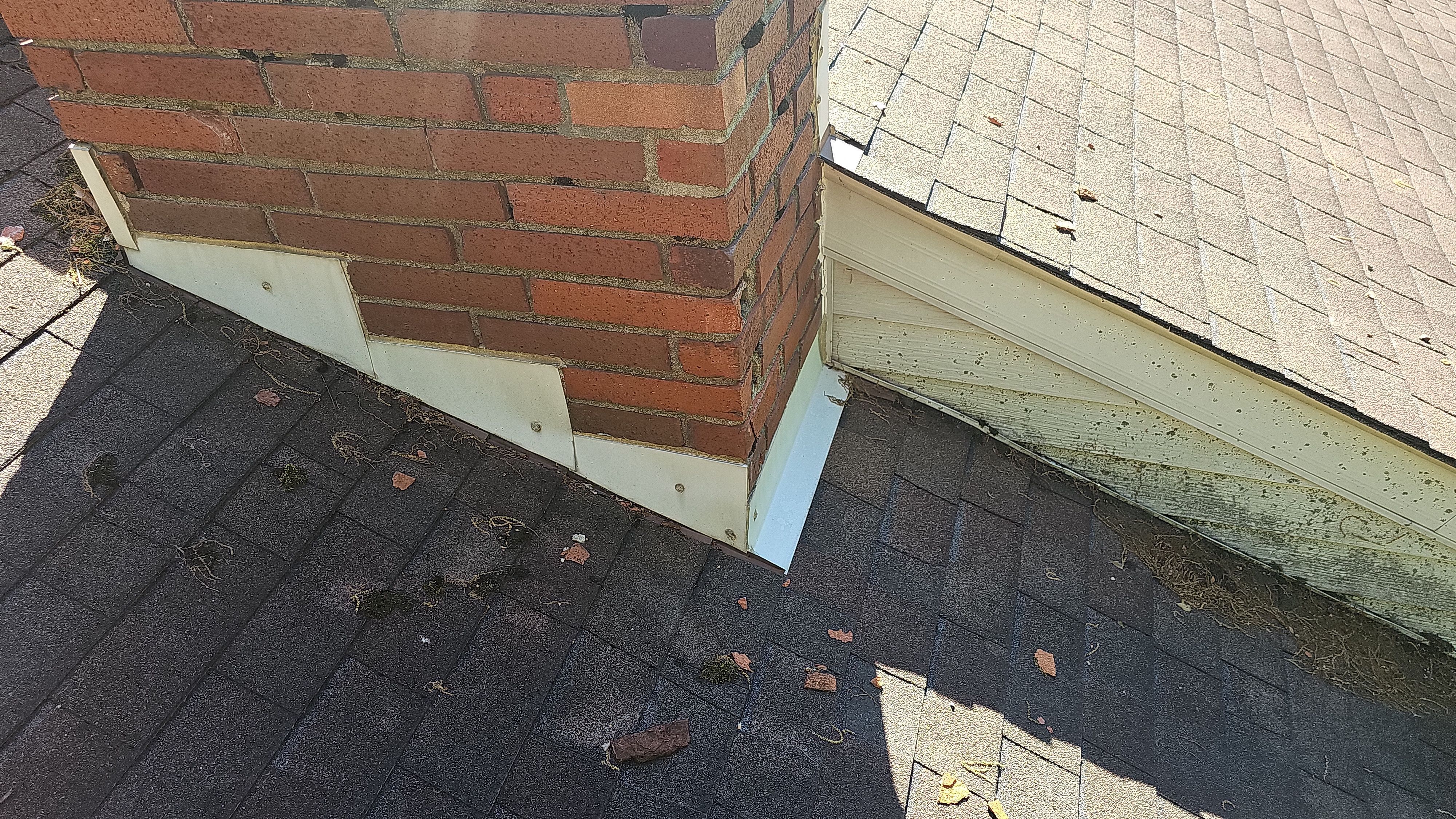 Atlas Pinnacle, Color, Woodland Green, Drip Edge, Color, White by Eagle Eye Roofing