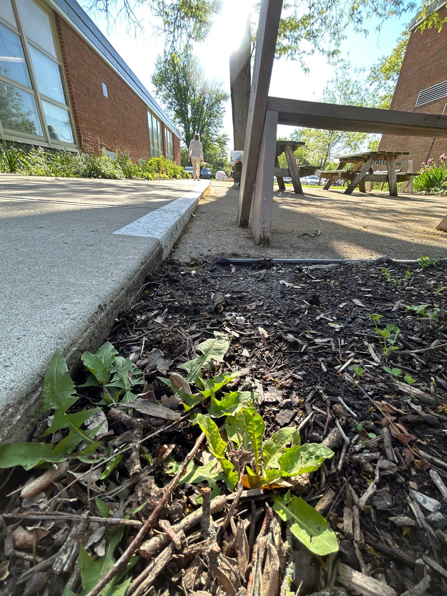 Salem Elementary School Outdoor Classroom by Southwest Greens Midwest