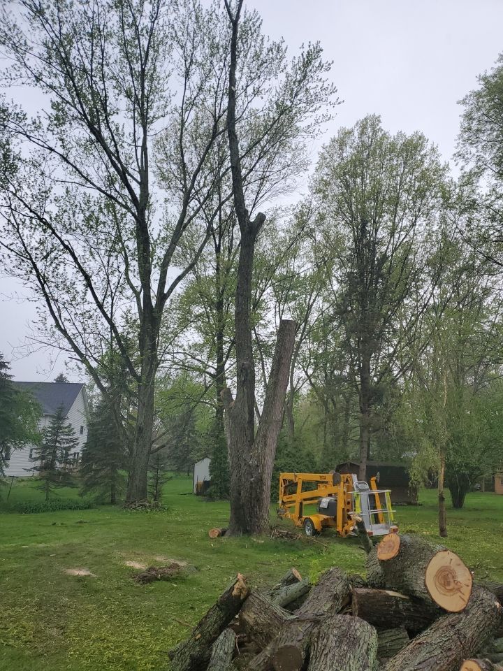 Tree Removal using Tree Removal by Mike Jones & Sons Tree Service LLC 