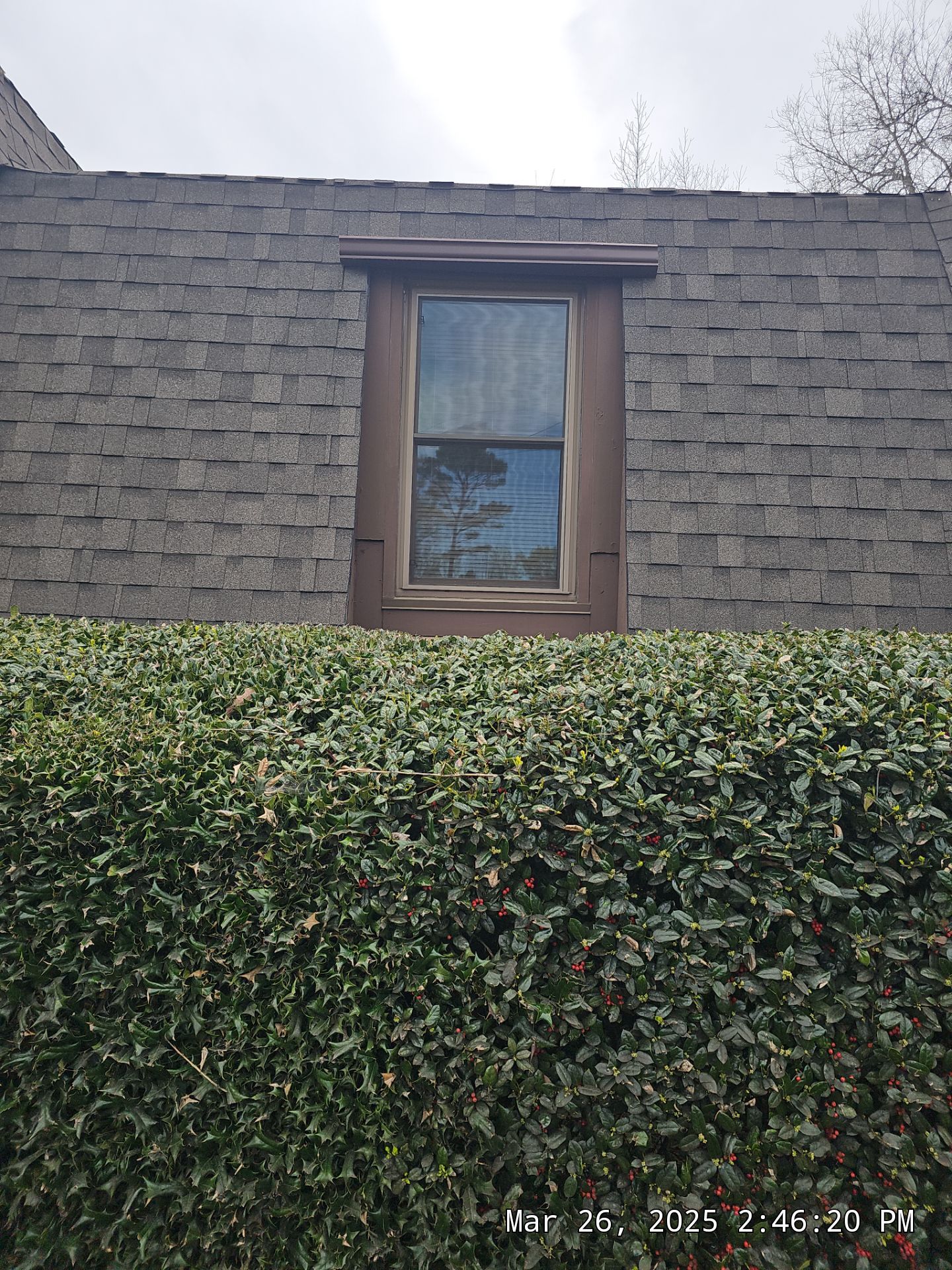 Benson Project in Hoover by The Window Source