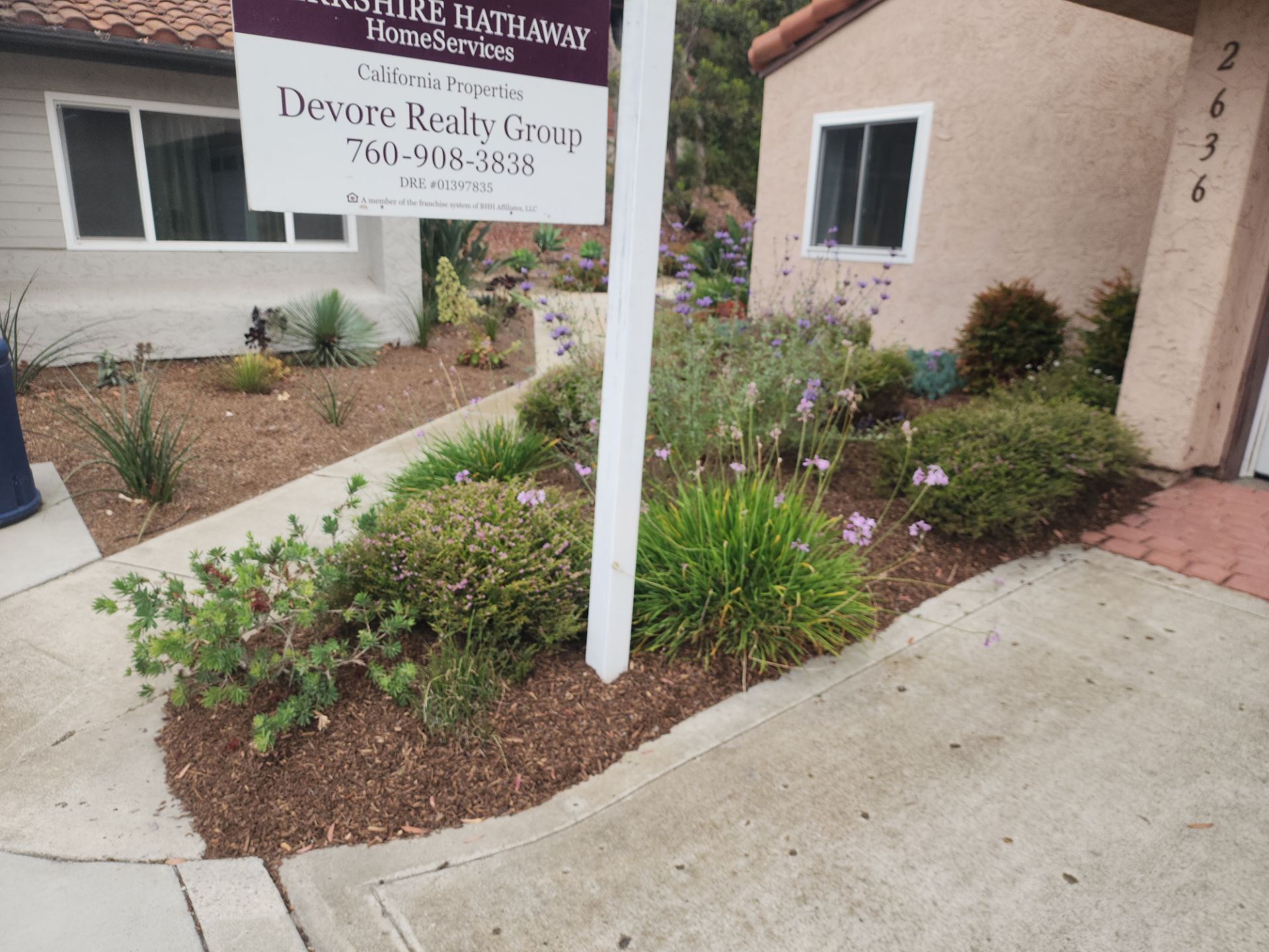 San Diego Residential Landscape Refresh With Succulents and Wood Mulch by Yard Techs