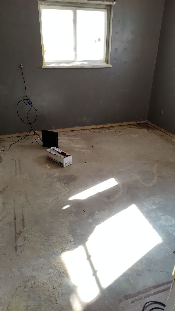 Mold Remediation by Accountable Home Services