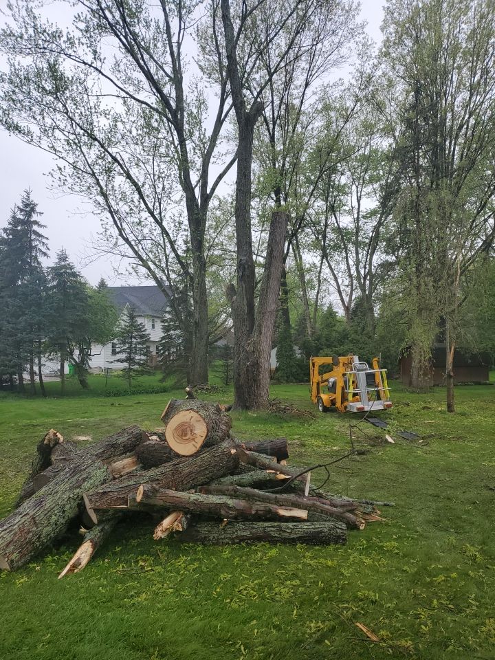 Tree Removal using Tree Removal by Mike Jones & Sons Tree Service LLC 