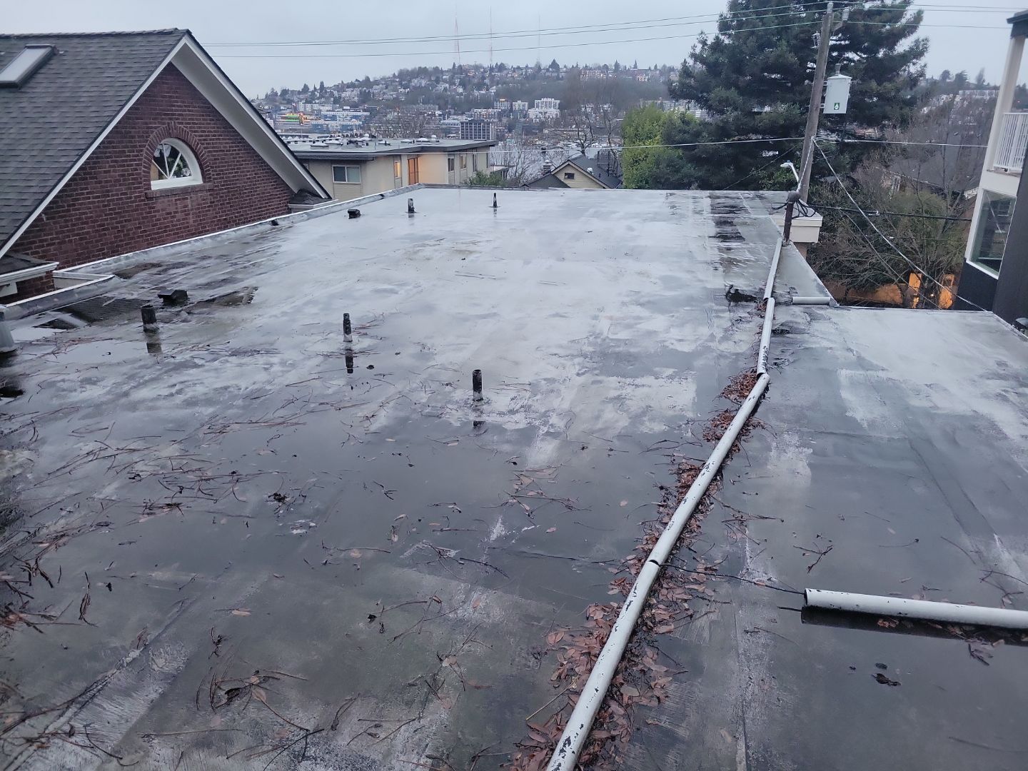 2025 Seattle Multi-Family Overlay by Alternative Roofing Systems Inc. 