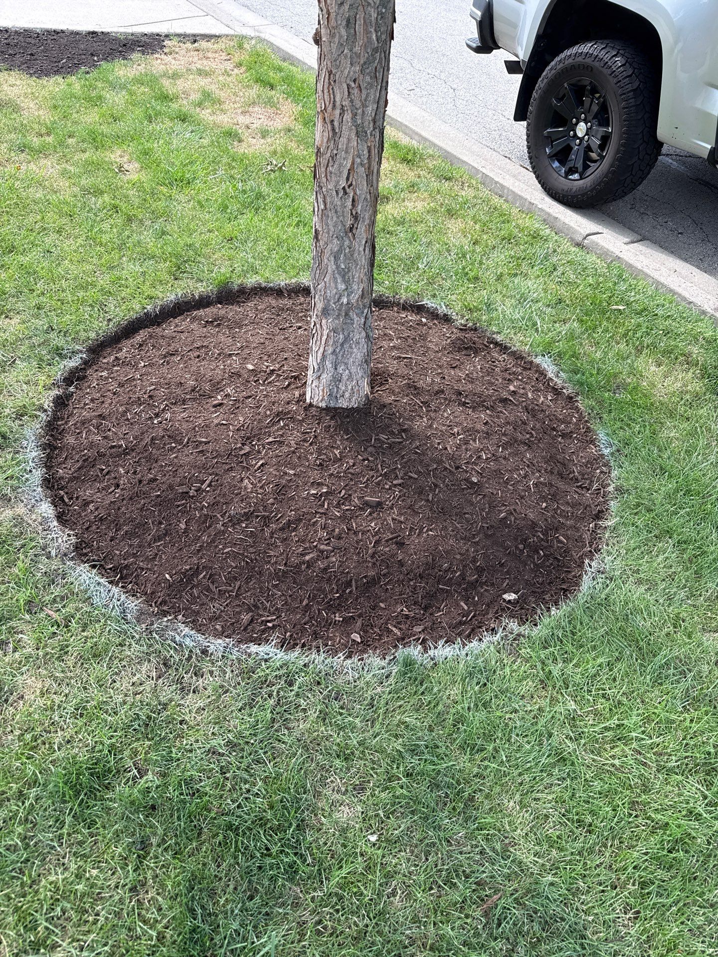 Chris S. - Mount Prospect, IL by A&N