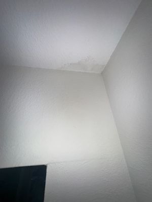 Water Damage Claim in Tampa