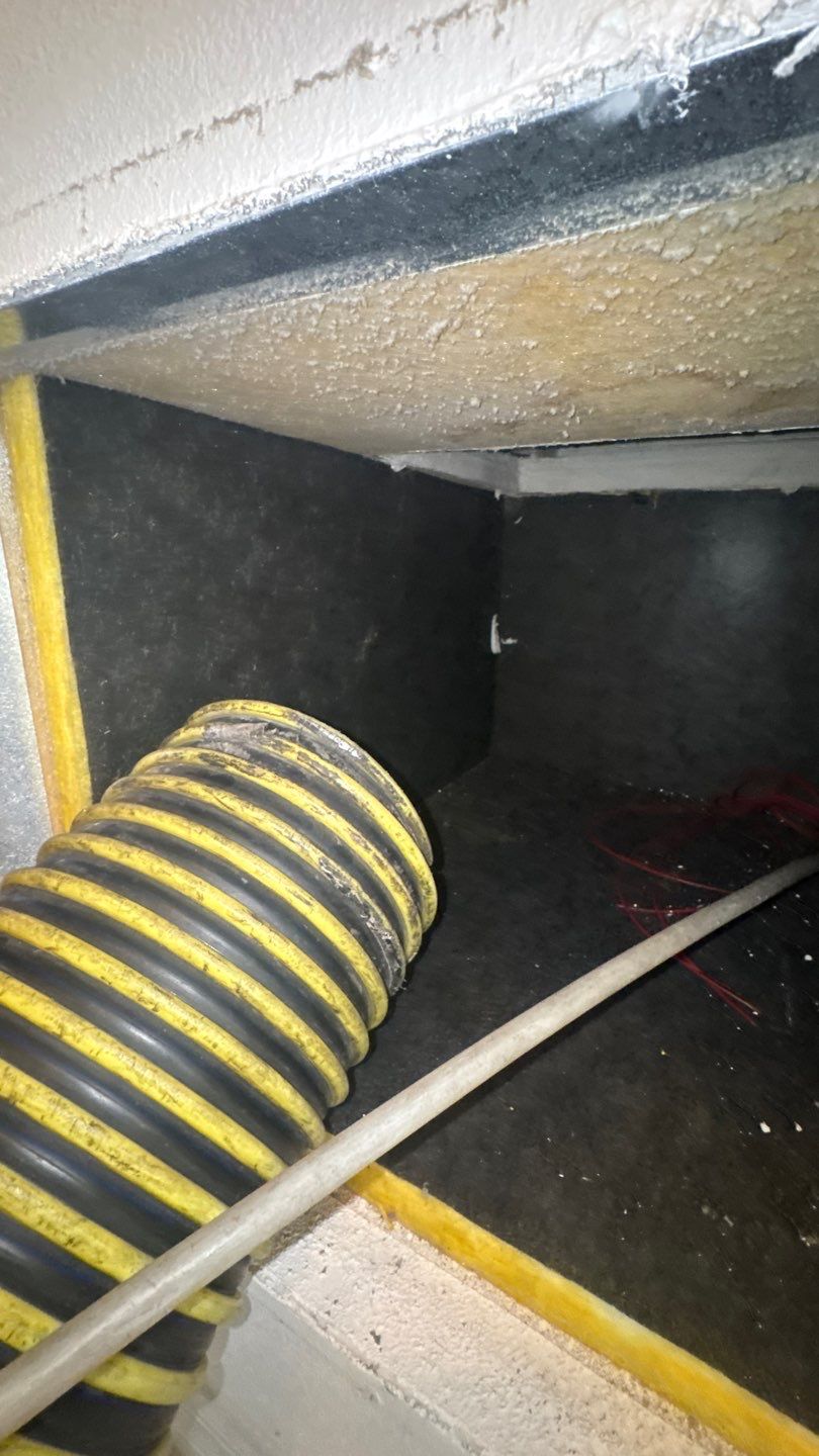 Air Duct and Dryer Vent Cleaning in Clermont by Hygienic Air, Inc
