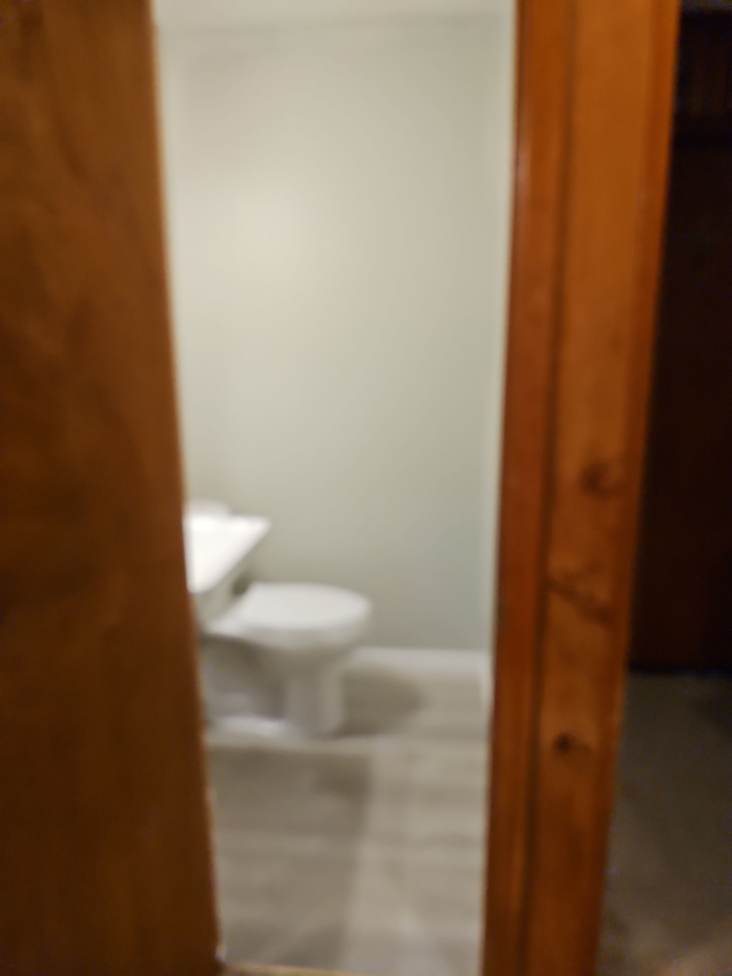 Bathroom Remodel using Luxury Vinyl Plank by The Shower Company
