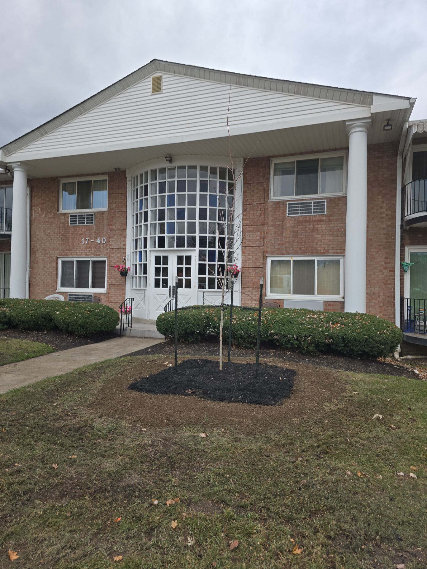 Emergency Job: Removal of Branch by Treeman Tom LLC