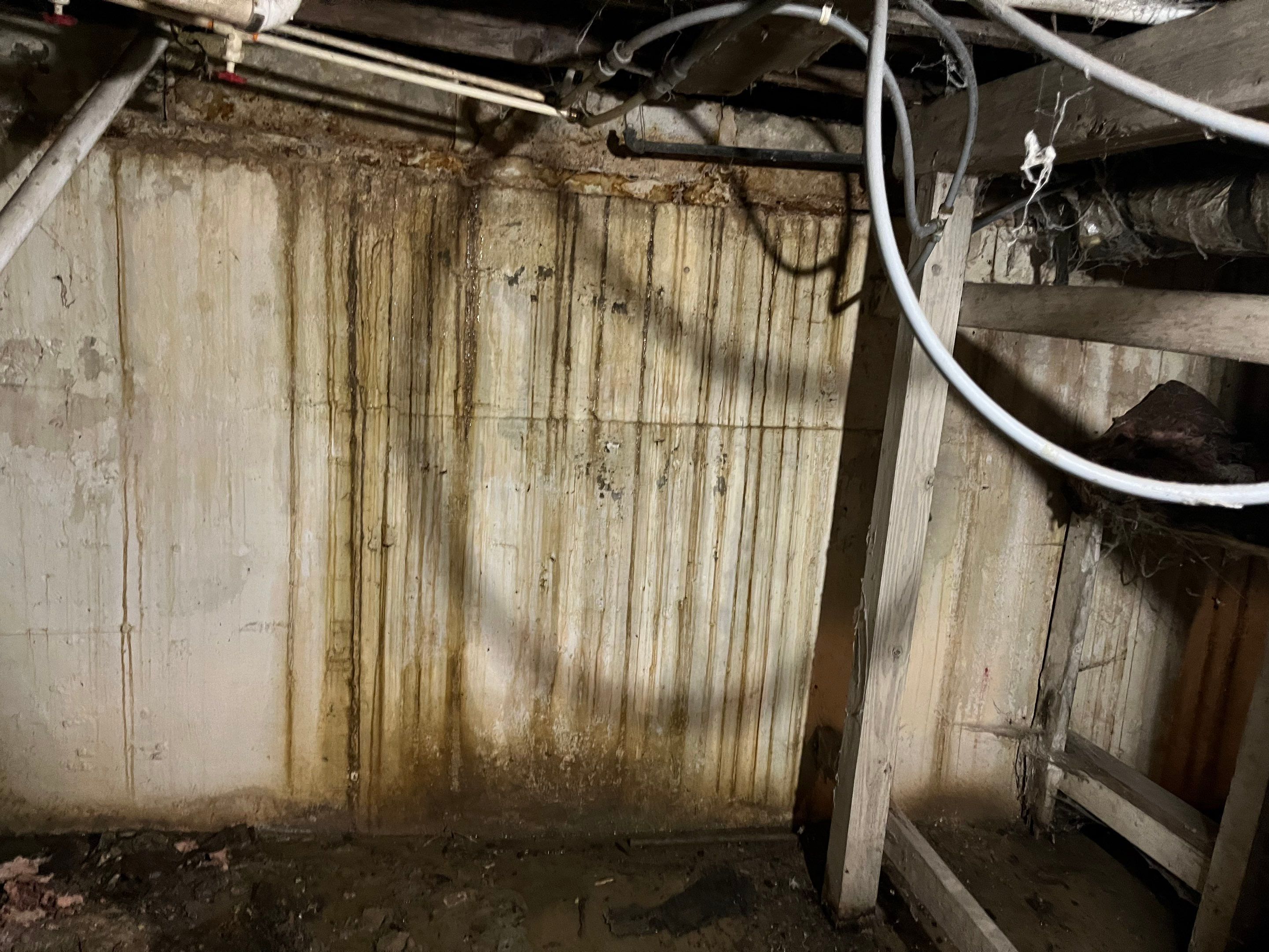 Basement Water Damage in New Albany, IN by ANR Restoration