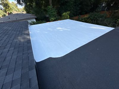 Project in Orlando