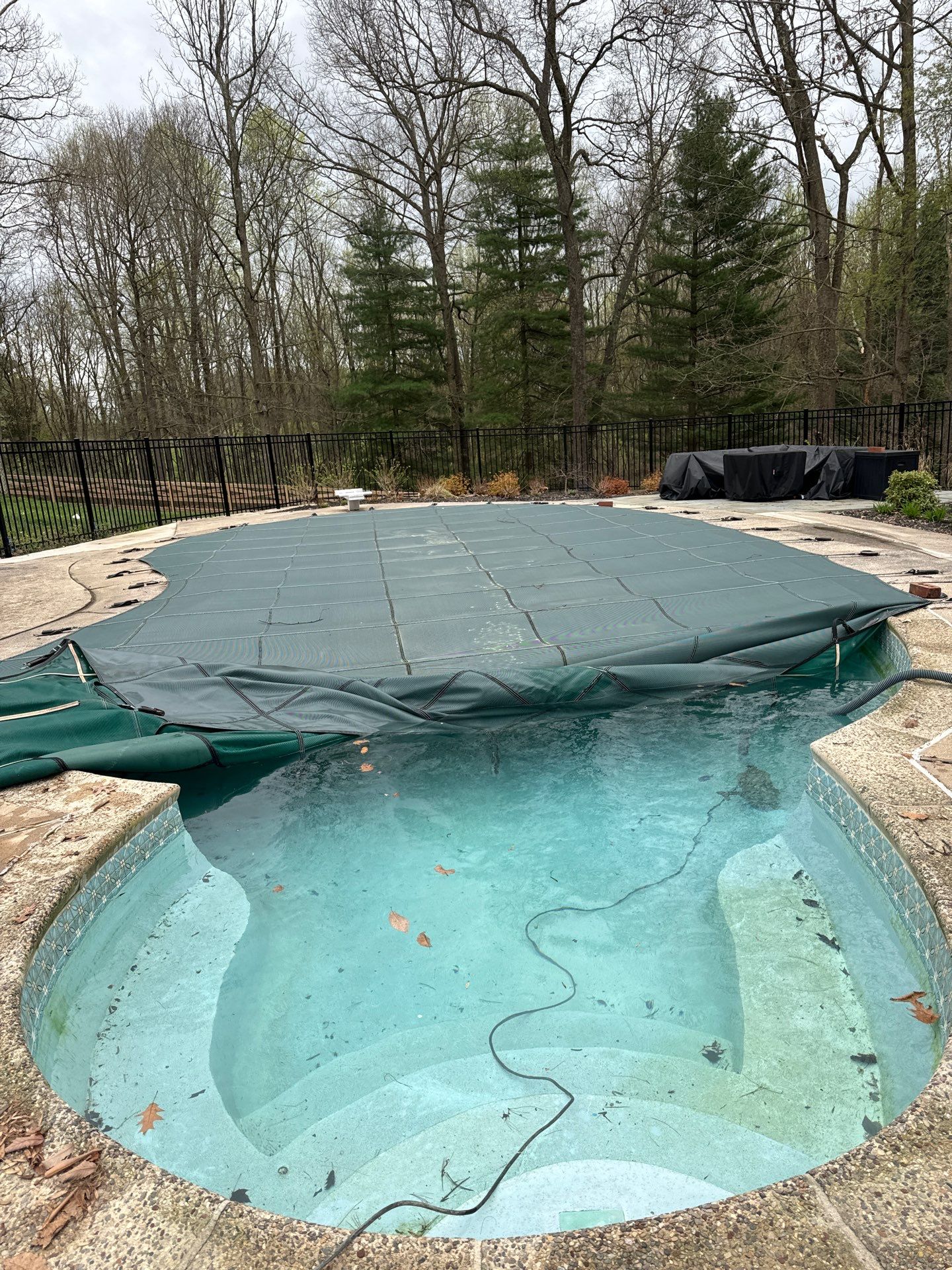 Tile/Coping/Plaster Renovation by Elysium Pools