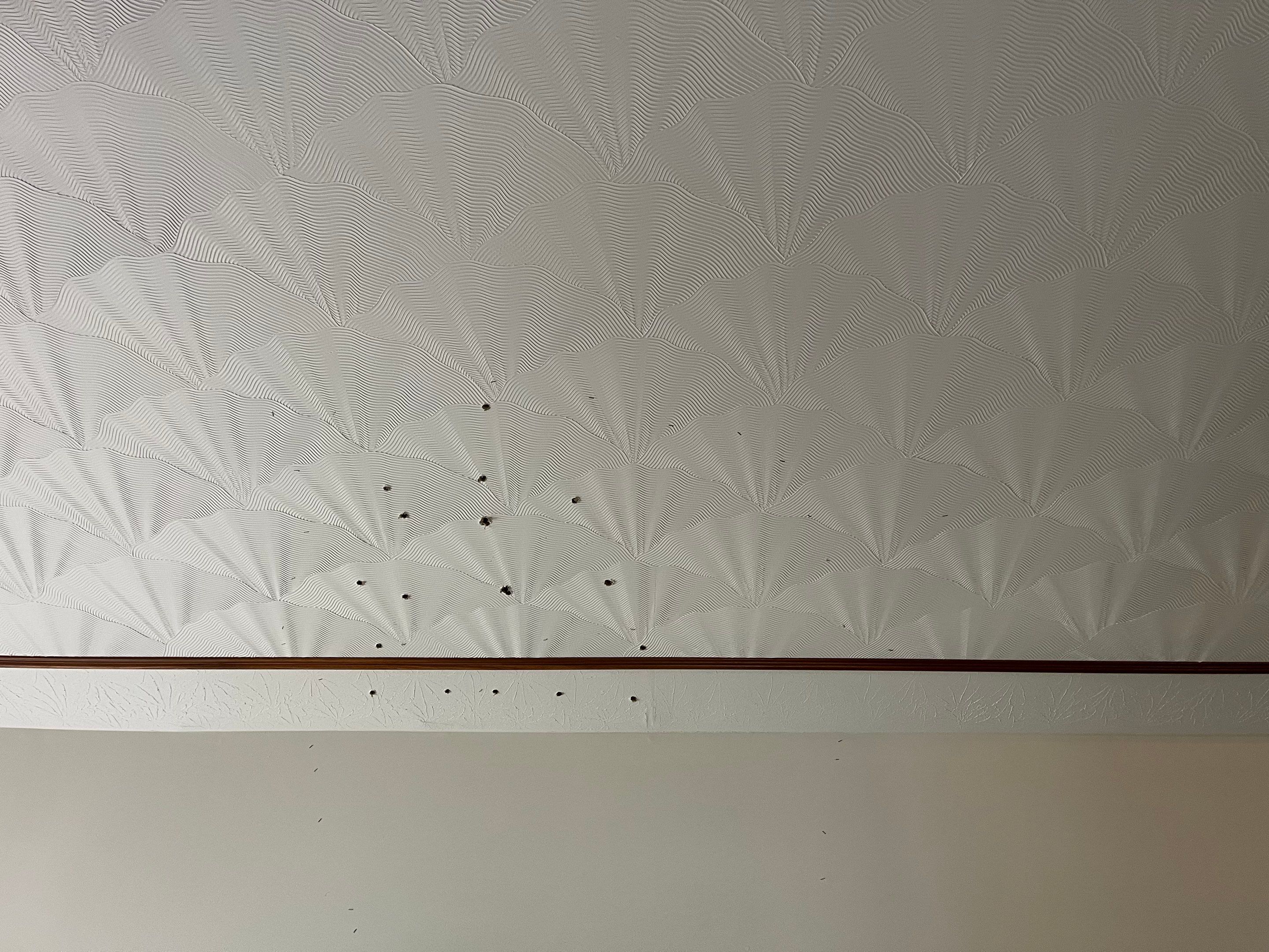 EMS Roof Leak Mitigation in Sellersburg, IN by ANR Restoration