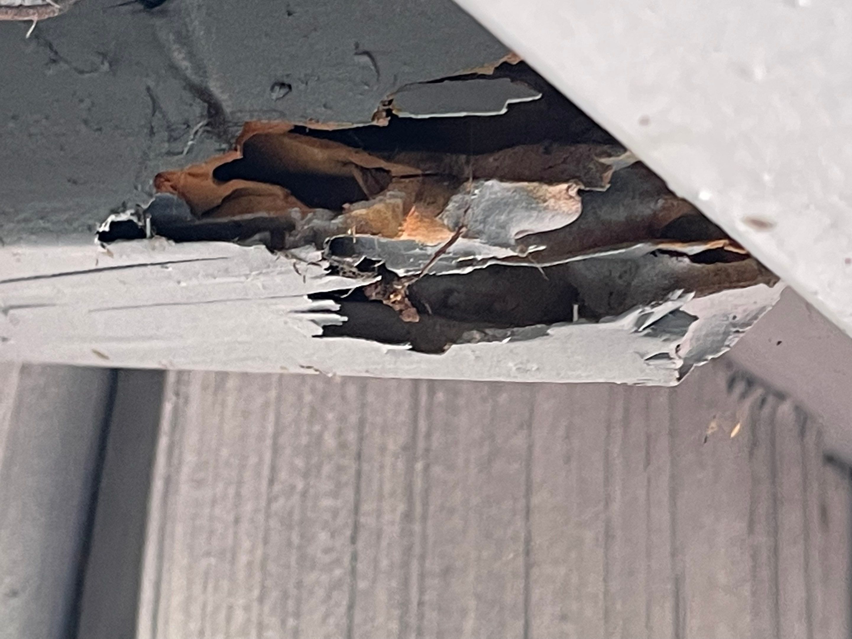 Wood Destroying Organisms Report by GLOBAL Termite Solutions
