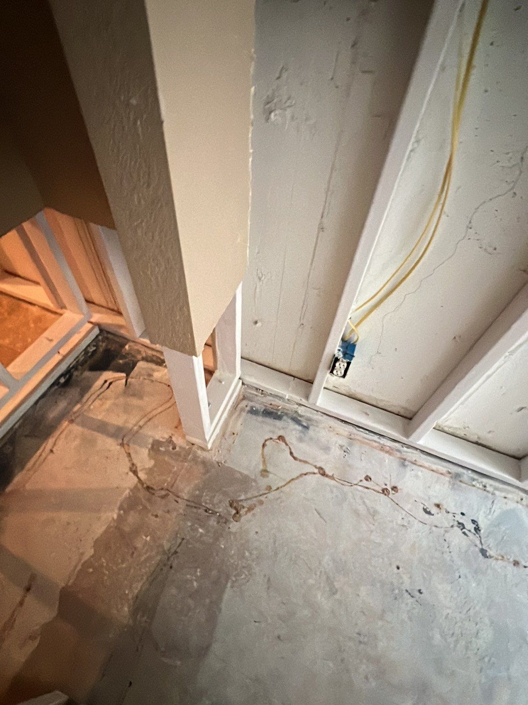Mold Damage by Accountable Home Services