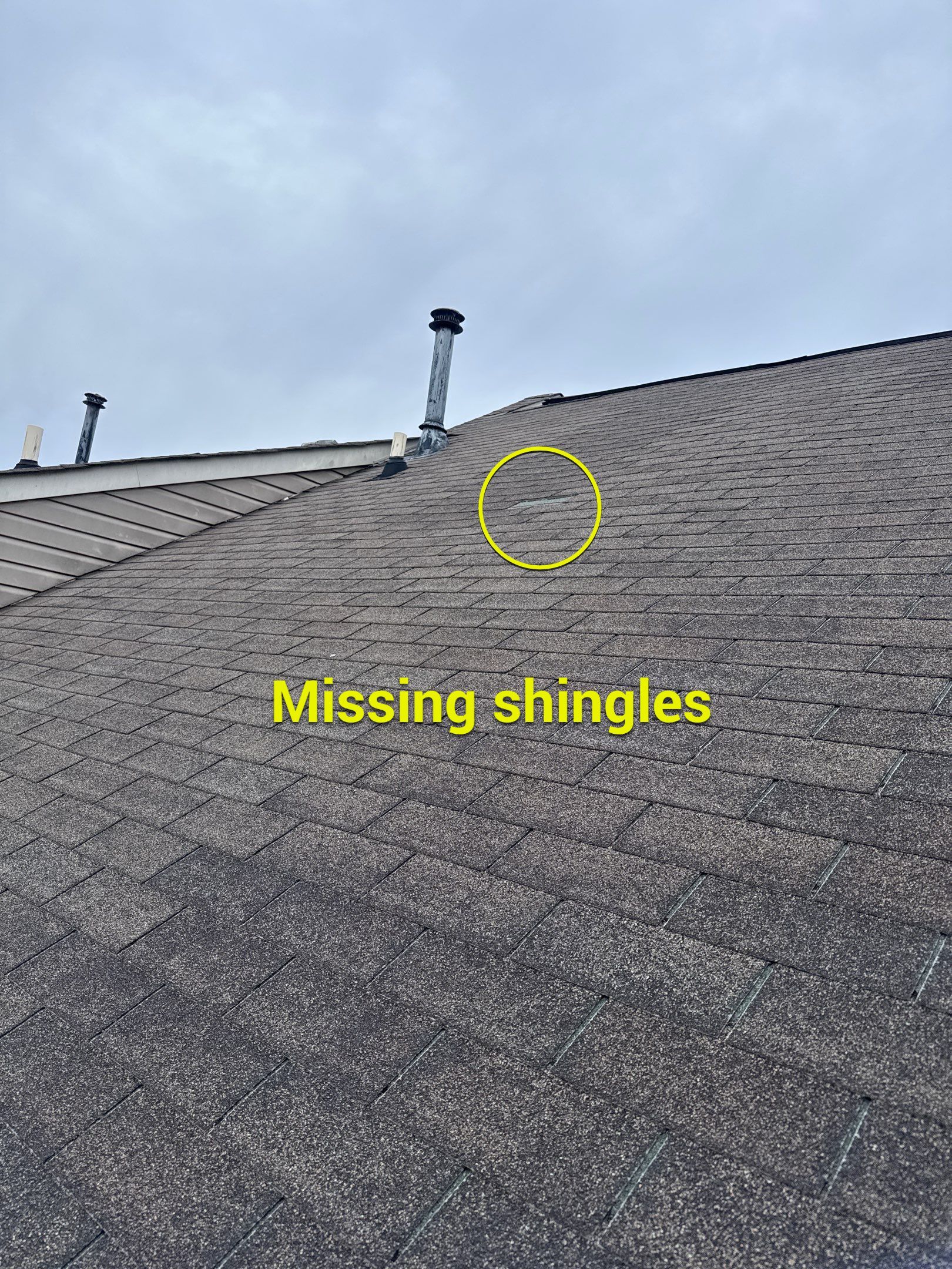 New shingle Roof an New gutters & Downspouts by Alpha Design Services
