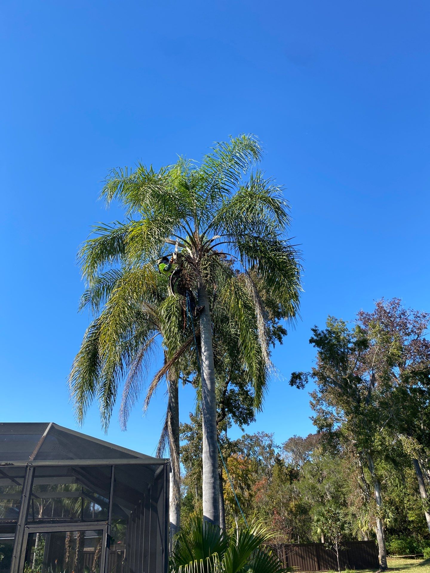 Deerwood Resident | Extreme Clean Up by ProGreen Services