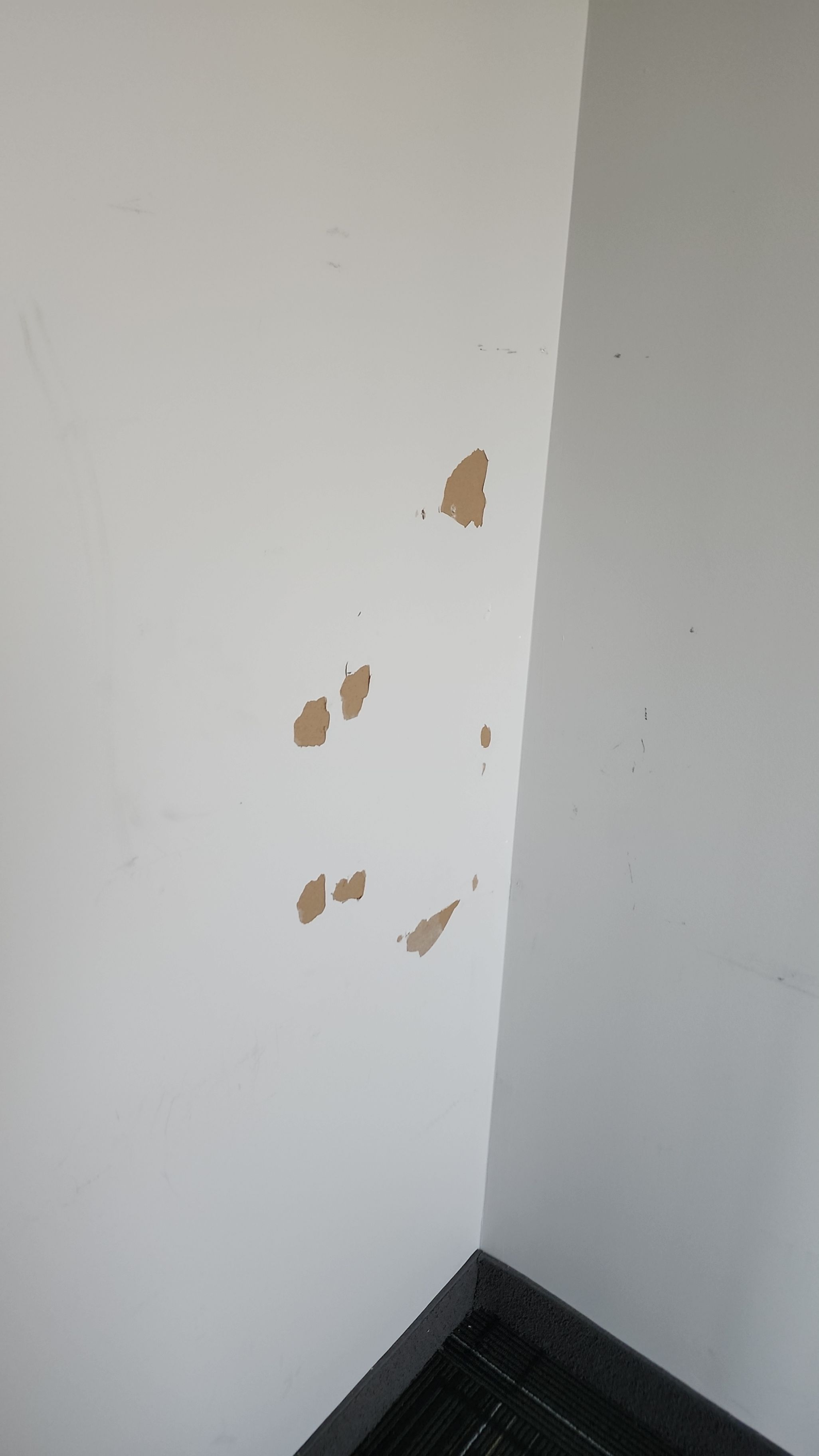 Project in Toronto by GTA HOME PAINTING